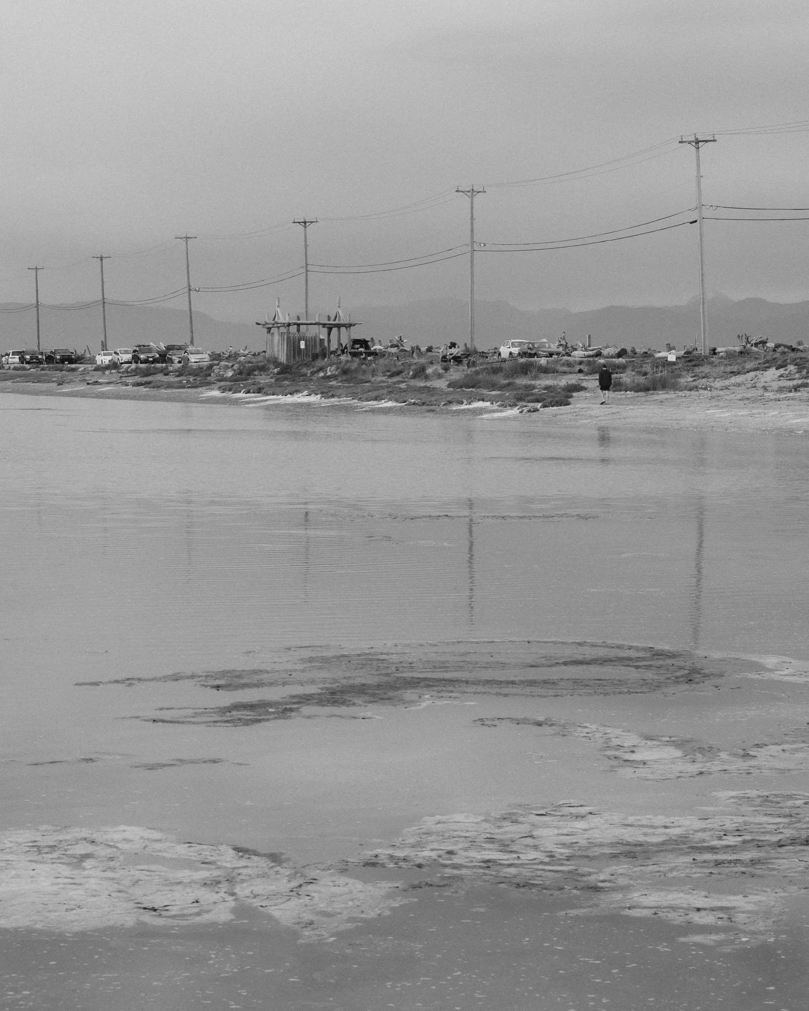 Goose spit-19.jpg