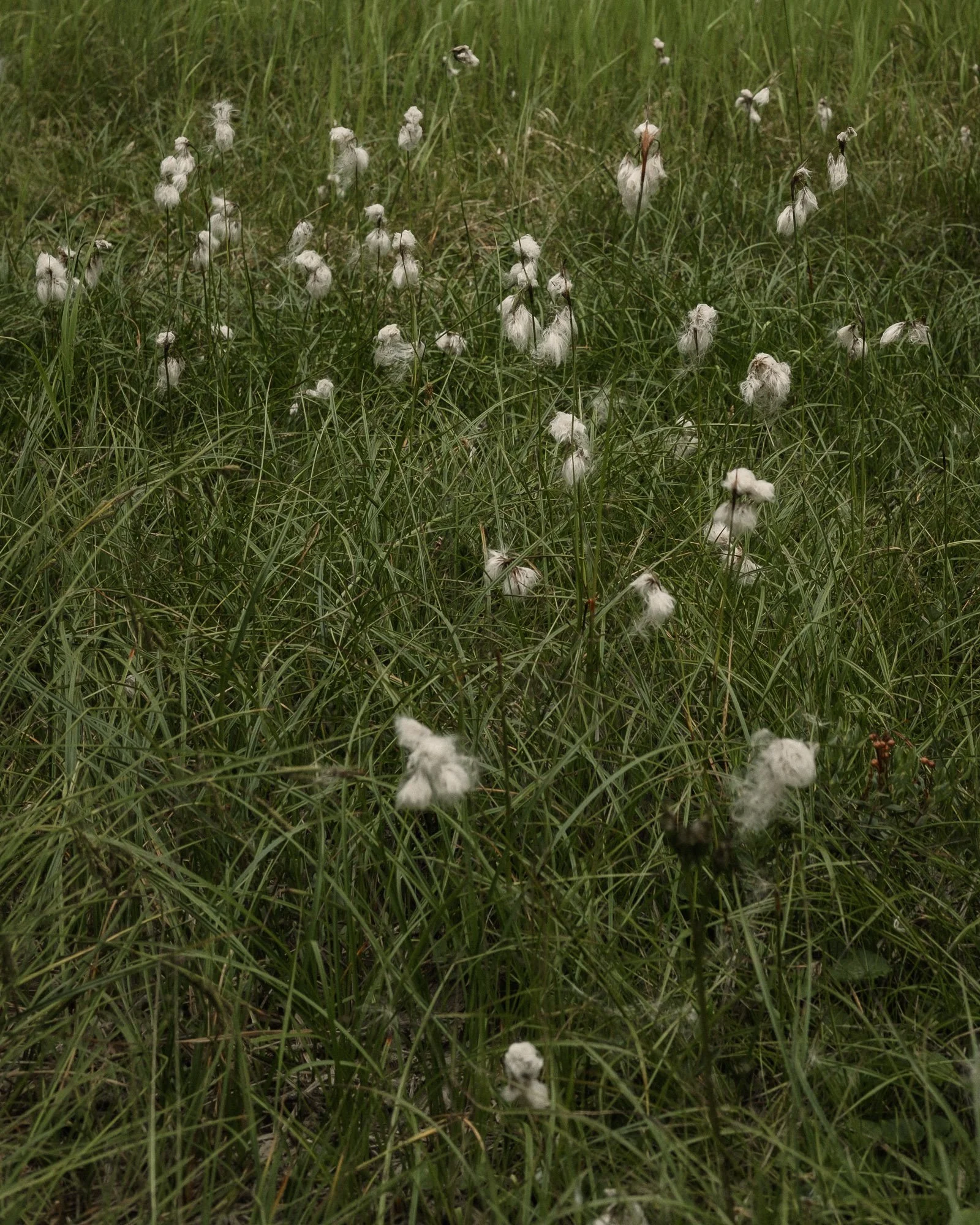 DSCF4825.jpg