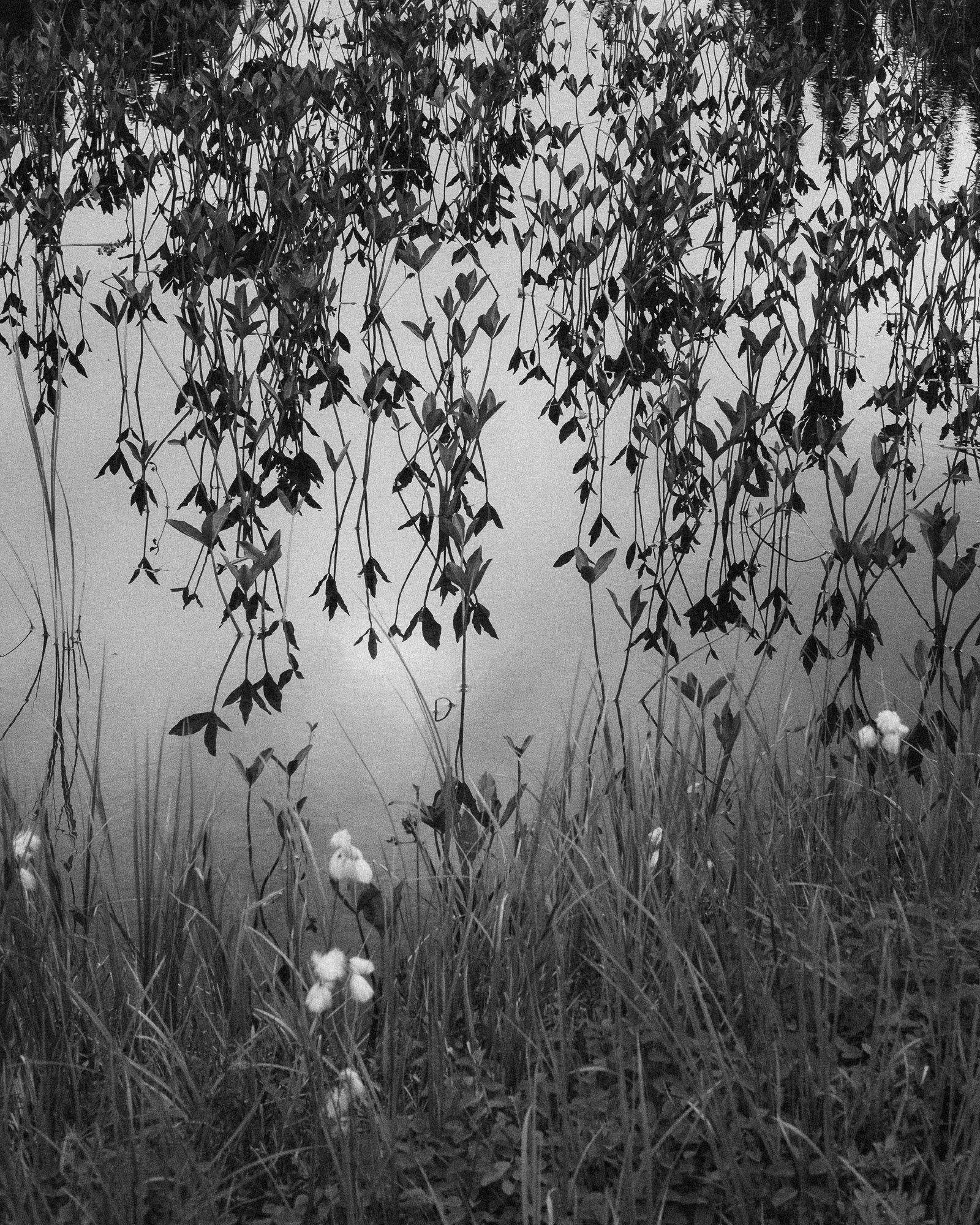 DSCF4955.jpg