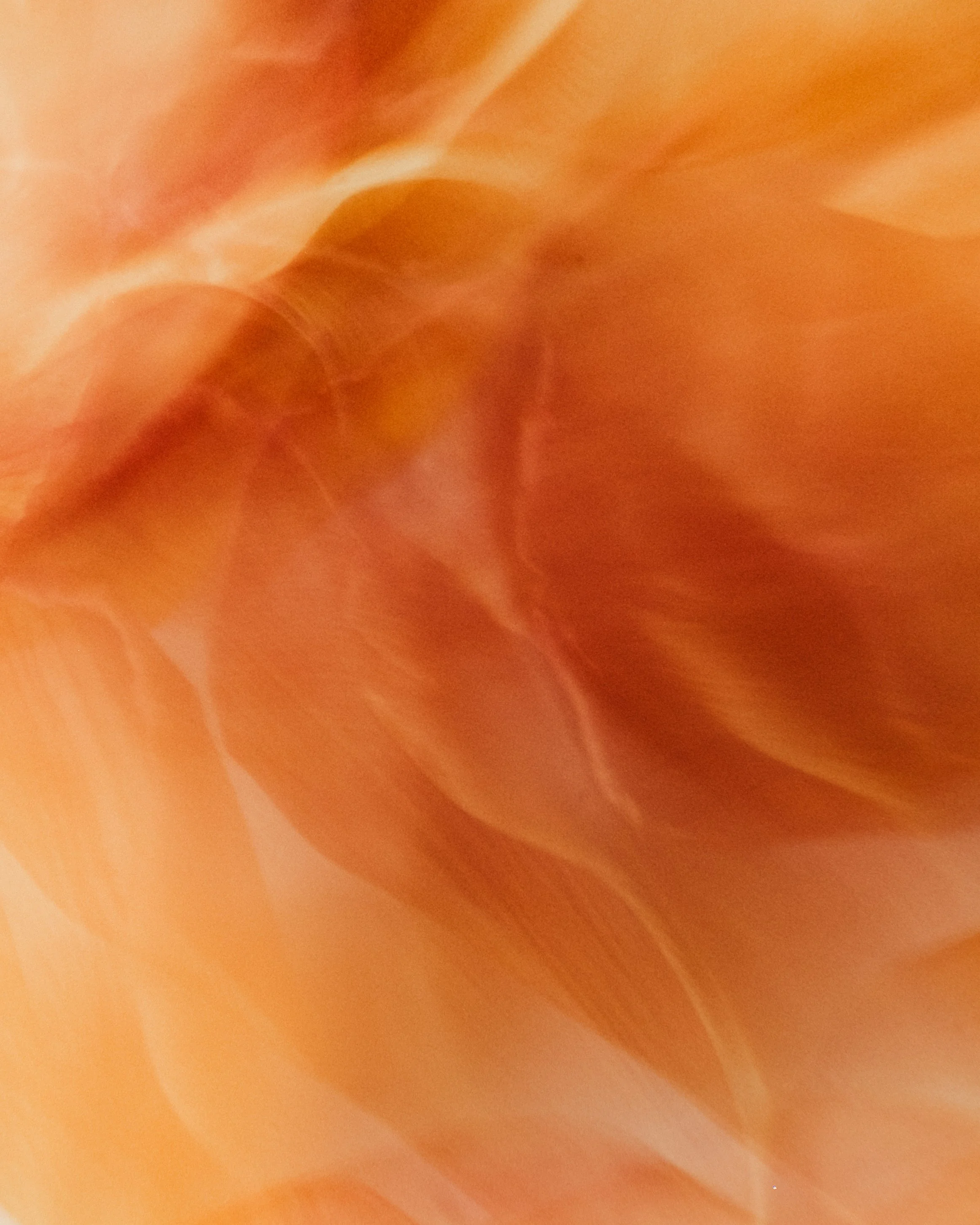 tulips-16.jpg