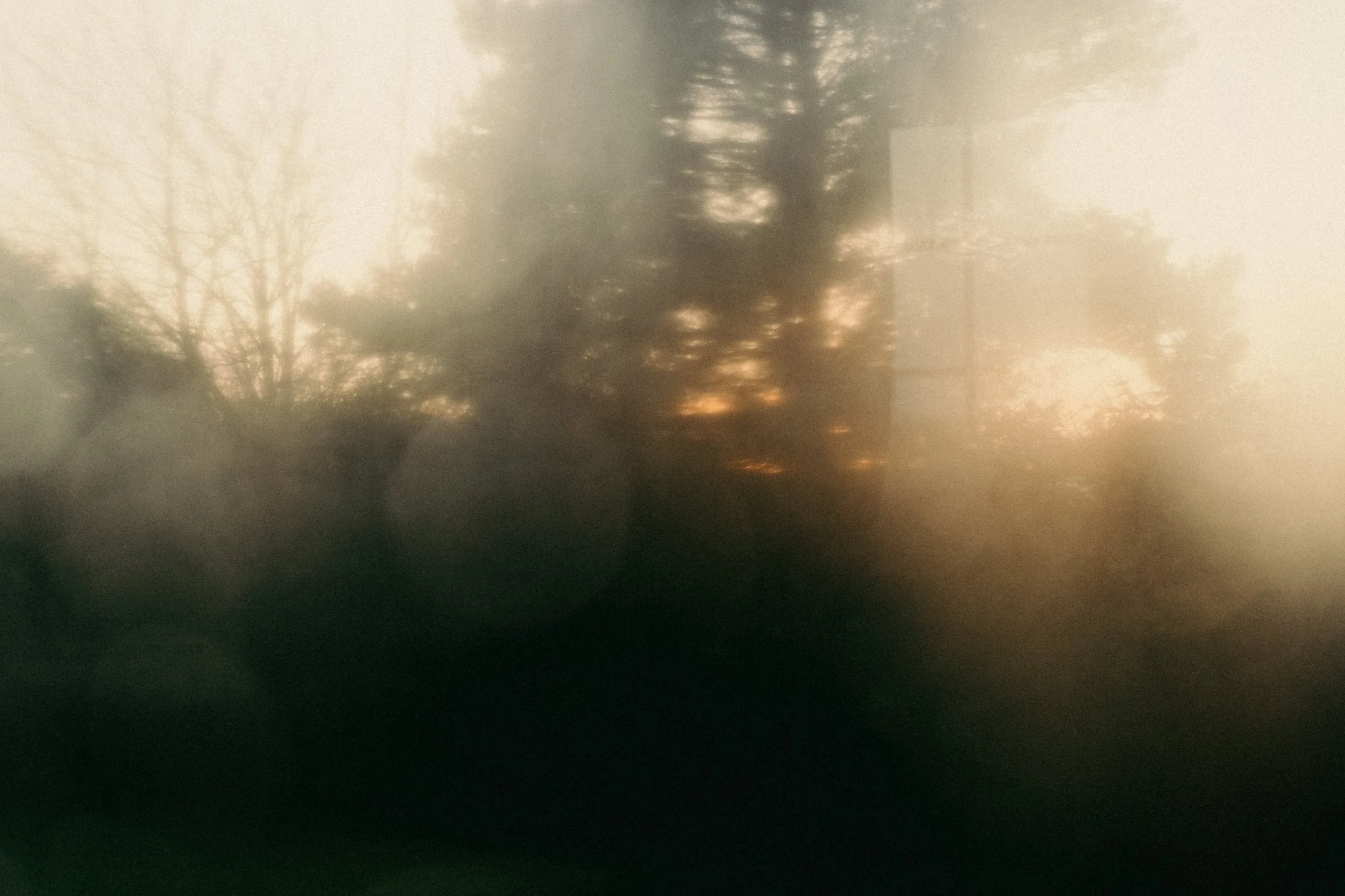 DSCF5889-min.jpg