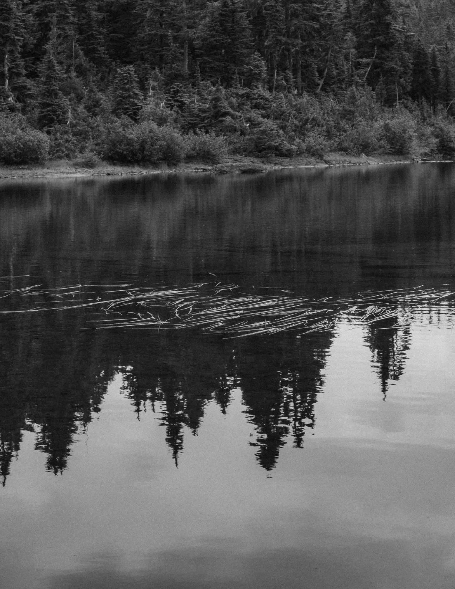 DSCF4688.jpg