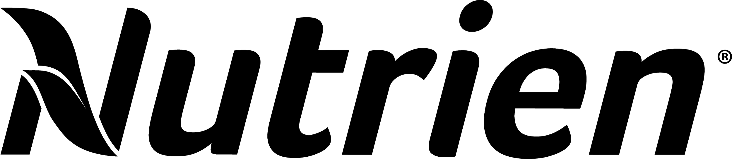 Nutrien_Logo_R_Black.png