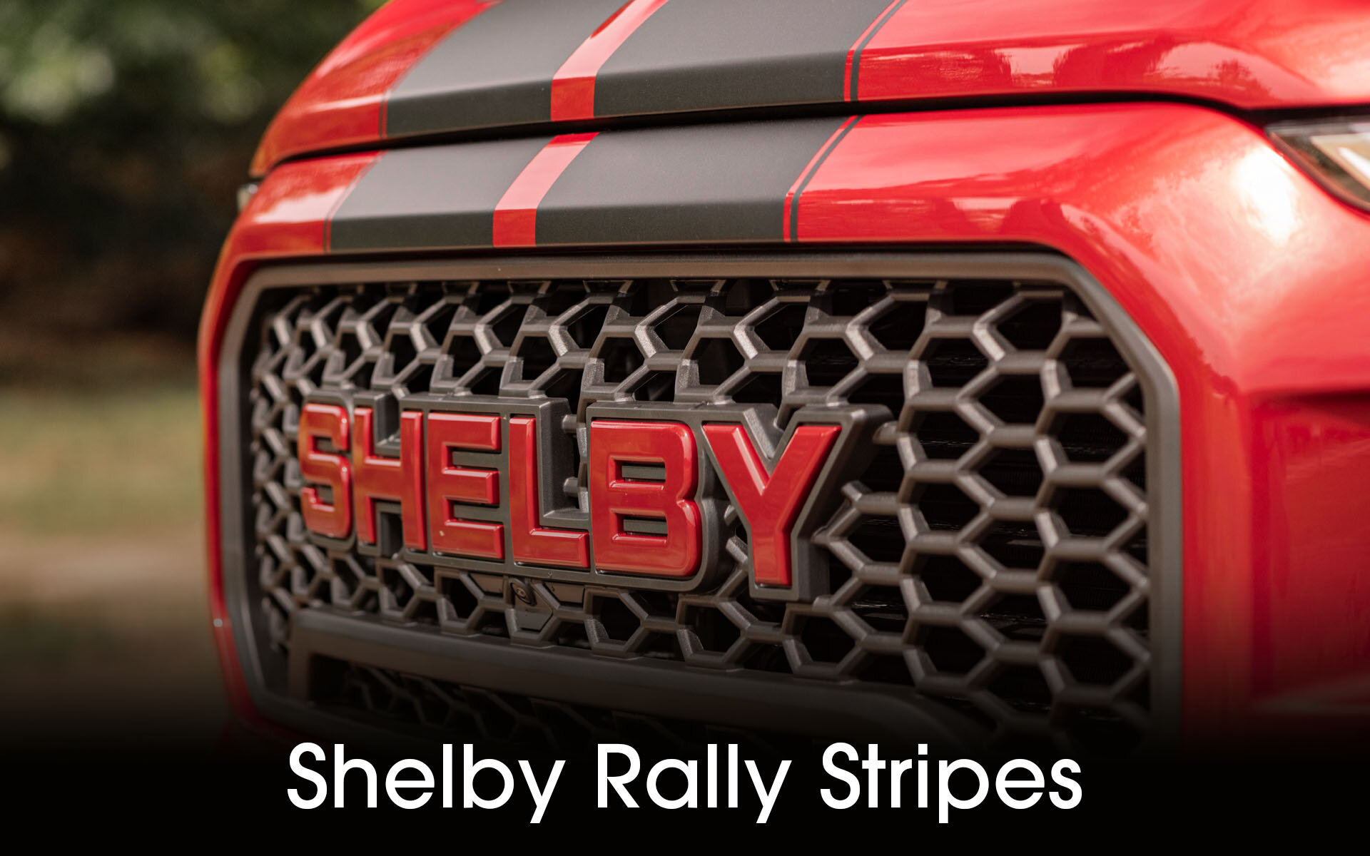 Rally Stripes