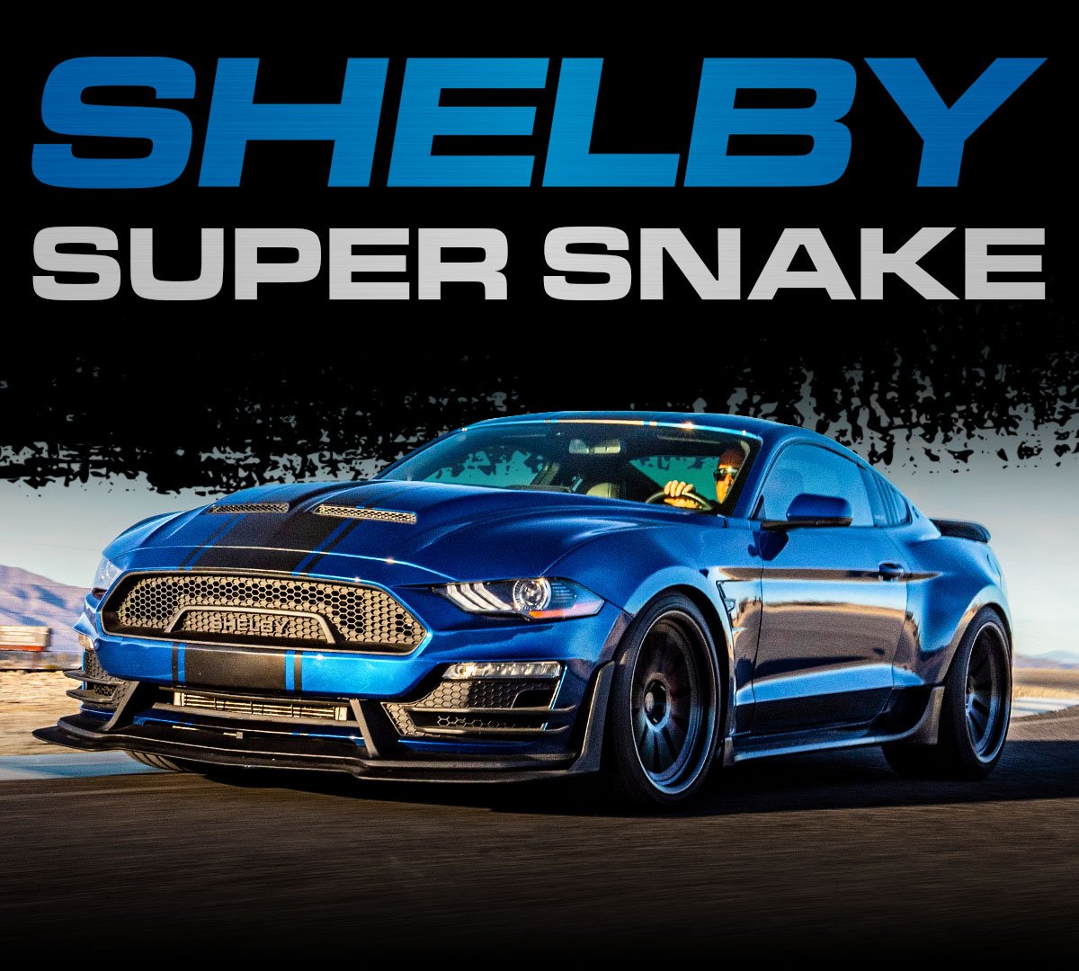 Shelby Super Snake Mustang