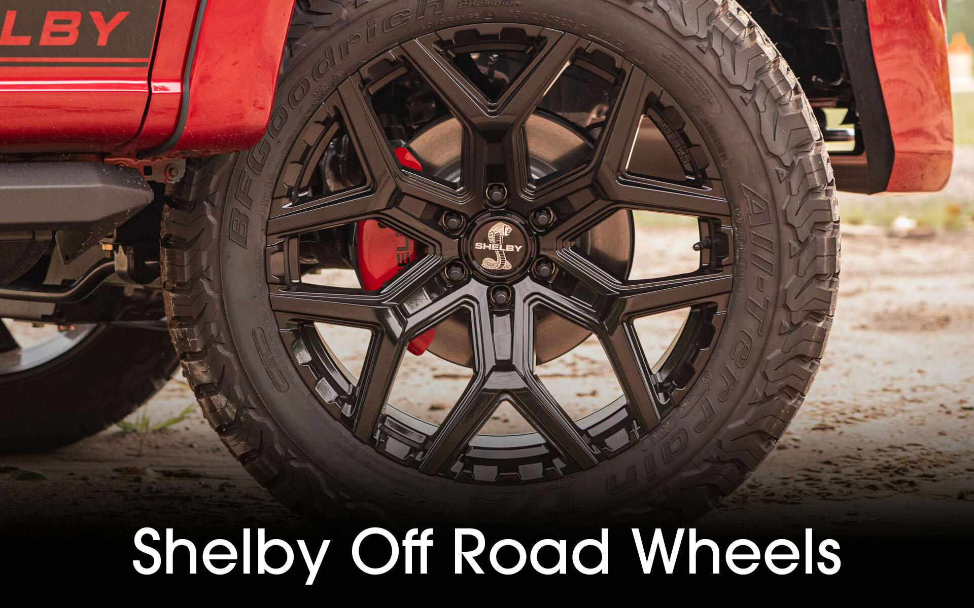 Custom Shelby Wheels