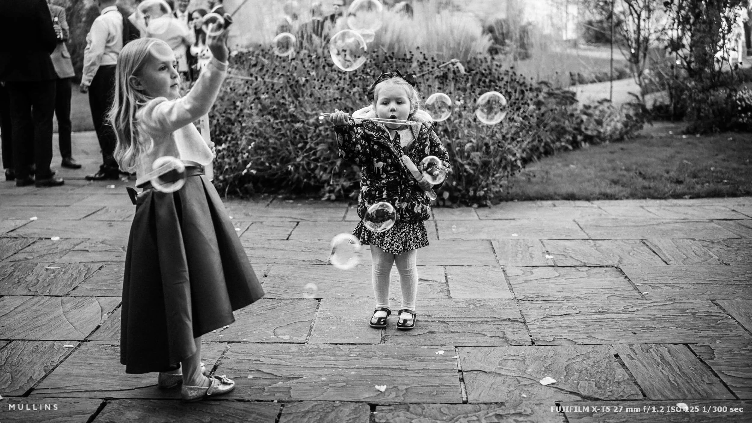 fujifilm-x-t5-review-sample-images-15.jpg
