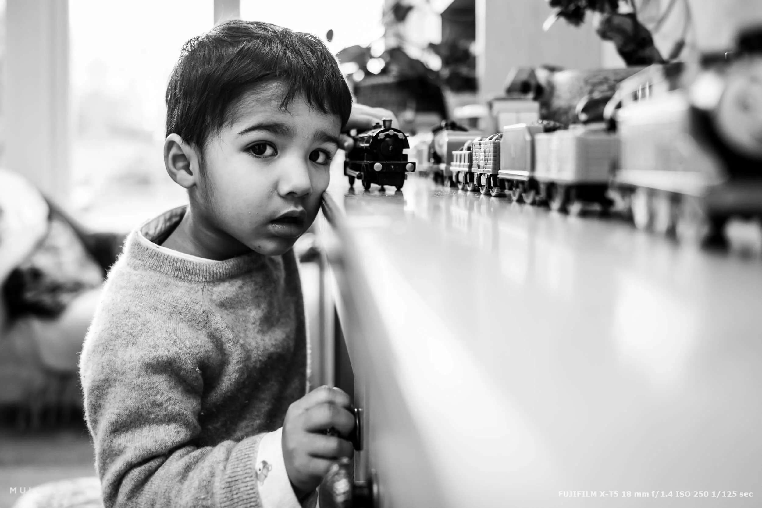 fujifilm-x-t5-review-sample-images-9.jpg