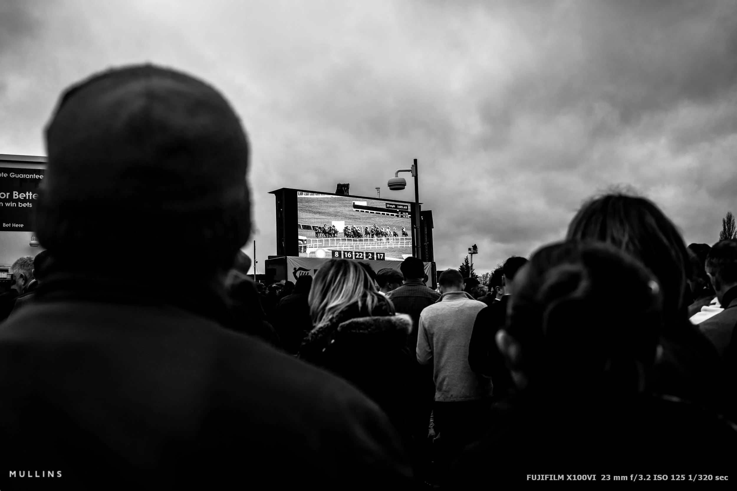 fujifilm-x100vi-cheltenham-festival-racegoers-63.jpg