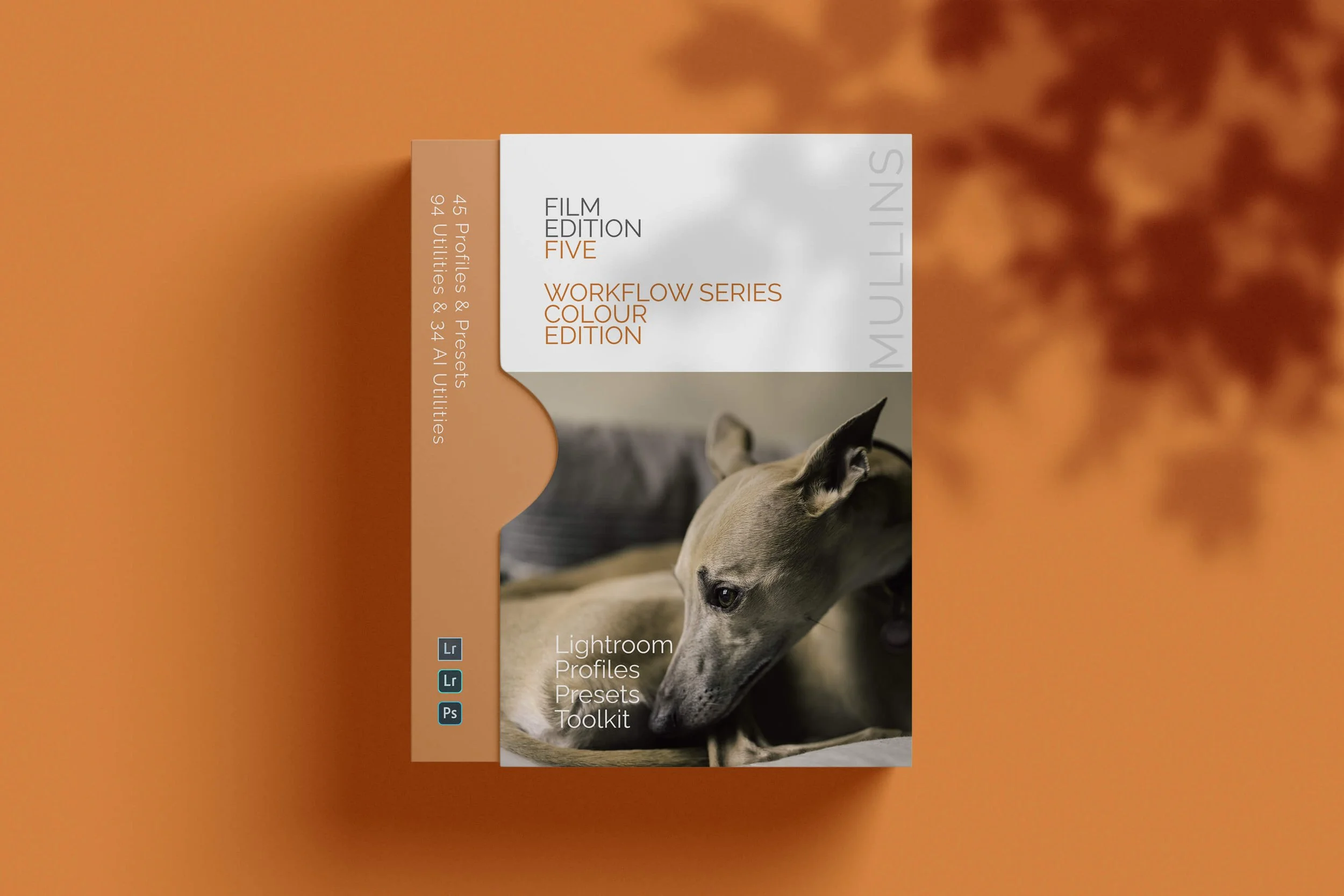 Film Edition 5 - Workflow Series (Colour) + AI Utilities