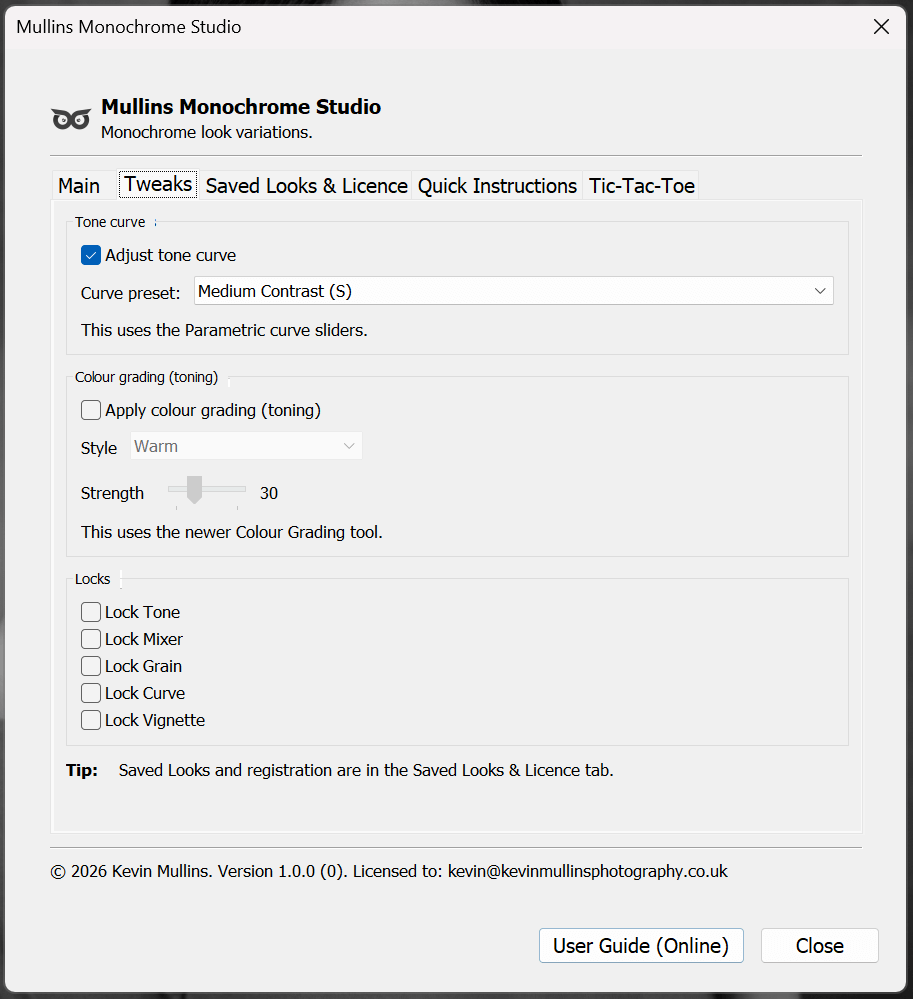 The Tweaks Tab of Mullins Monochrome Studio