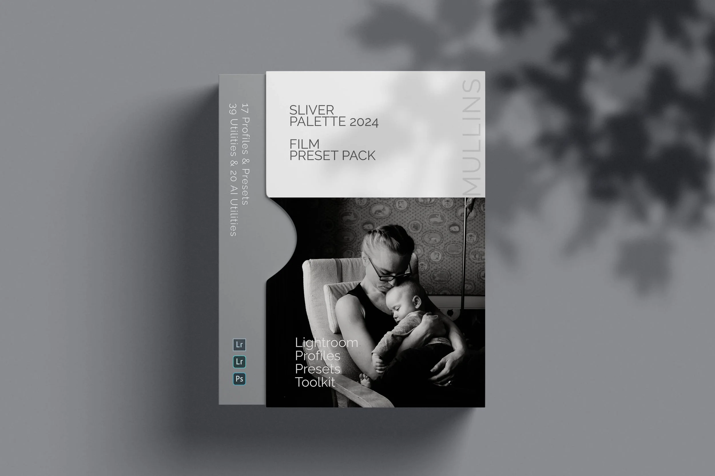 Kevin Mullins Silver Palette Lightroom Presets