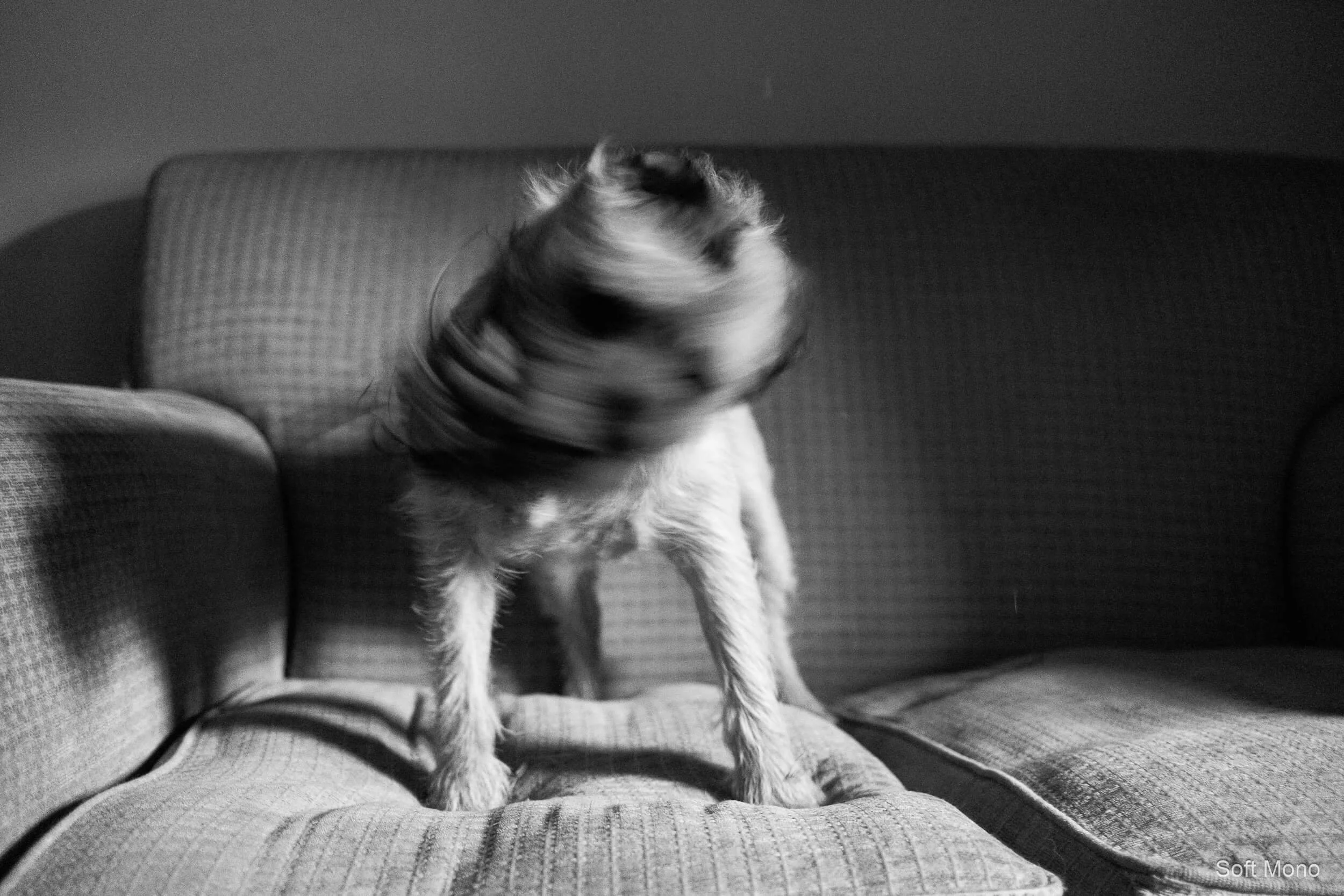 Soft Mono.jpg