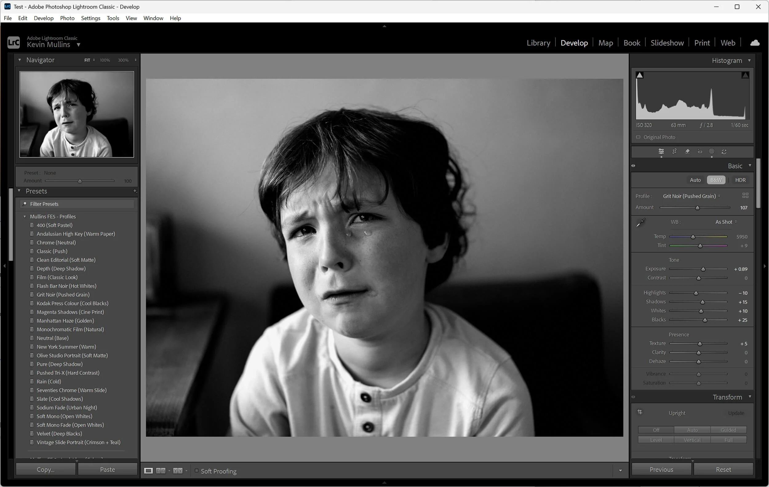 Screenshot of the Lightroom Profile Browser showing a few FE5 profiles.