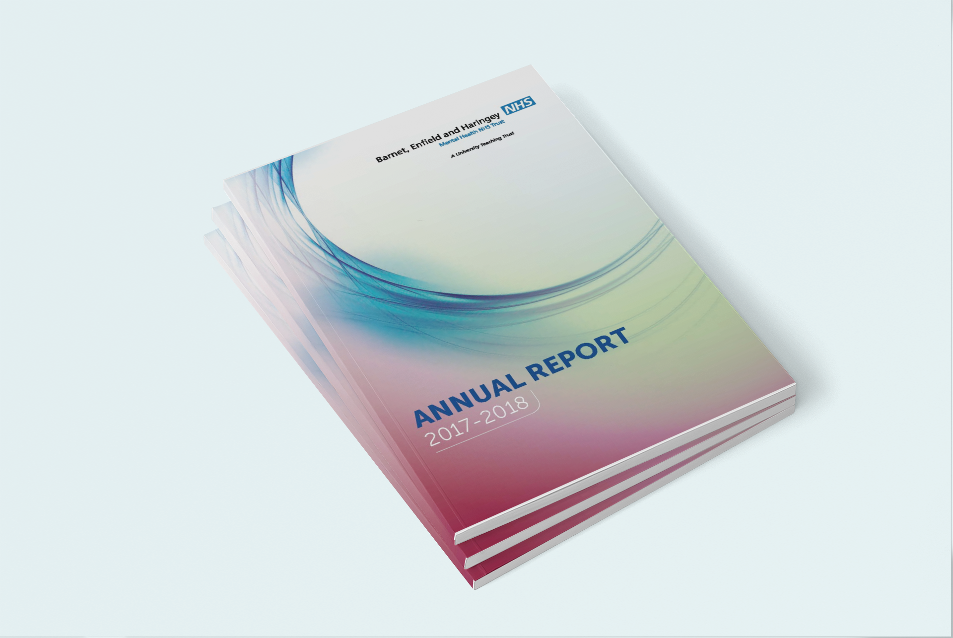 NHS Annual Report