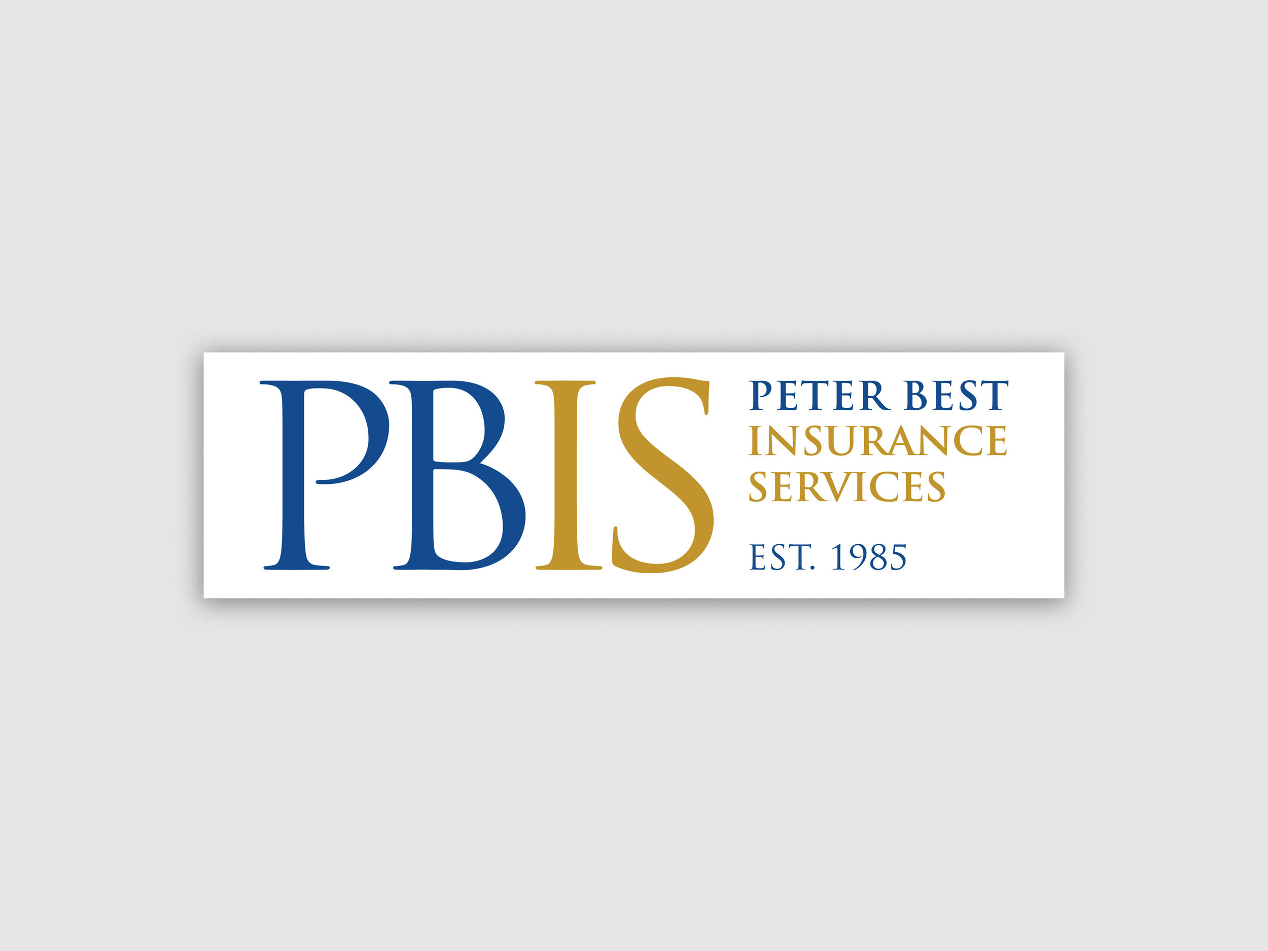 PBIS Branding _Marketing _Website