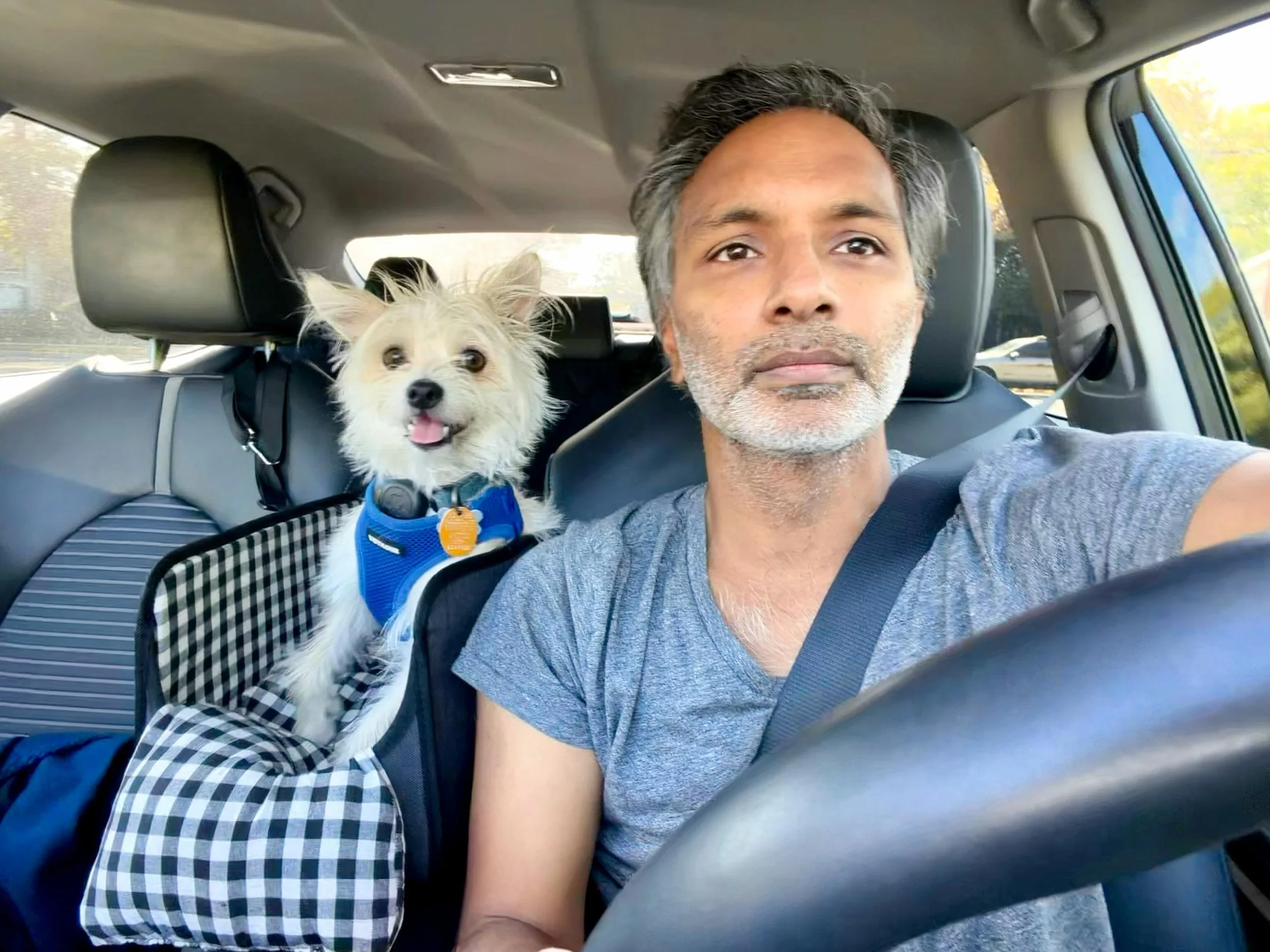 Happy drive back after Mando graduated level 1 obedience @zoomroomso 🏁 up to the next level&hellip; 🐶
#dogs #instagood