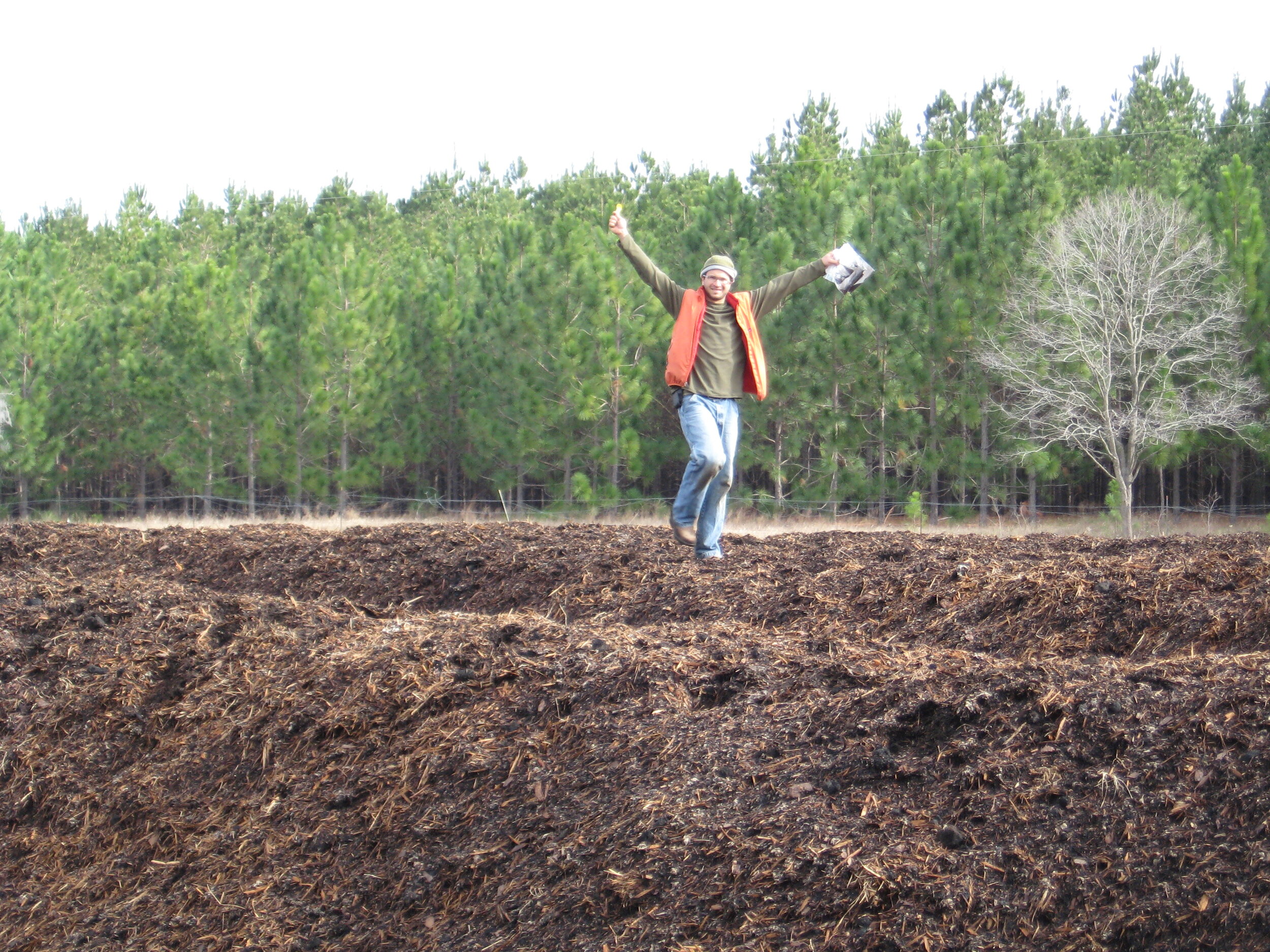 Farmer D happily inoculating compost piles with biodynamic preps at Longwood Plantation 2007.jpg