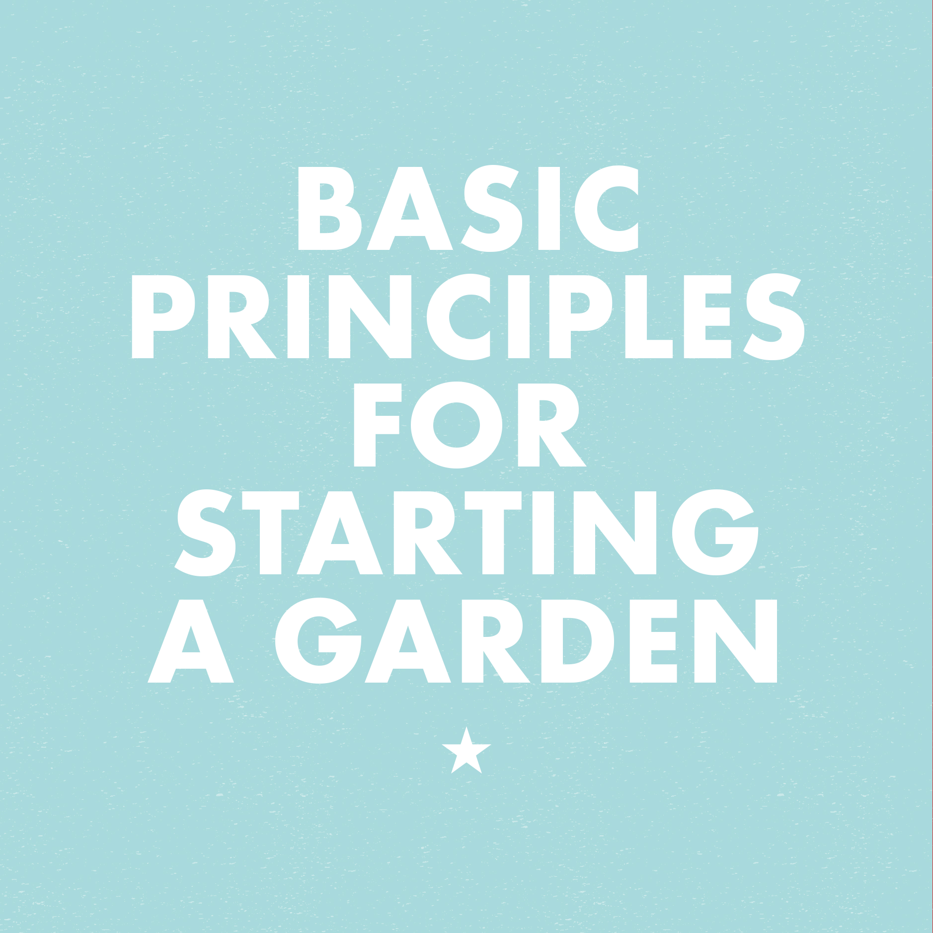 Basic Principles for Starting a Garden