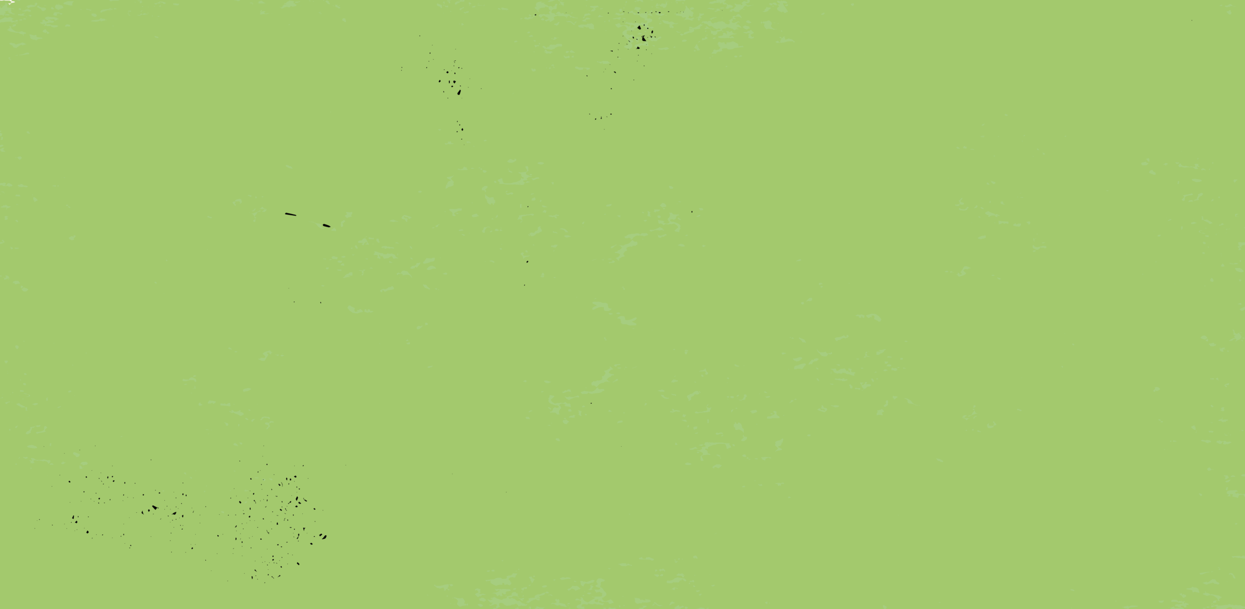 Light green bg-03.png