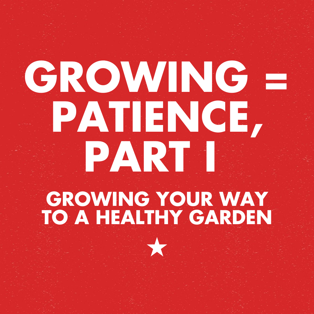 Growing = Patience, Part I: Growing Your Way to a Healthy Garden