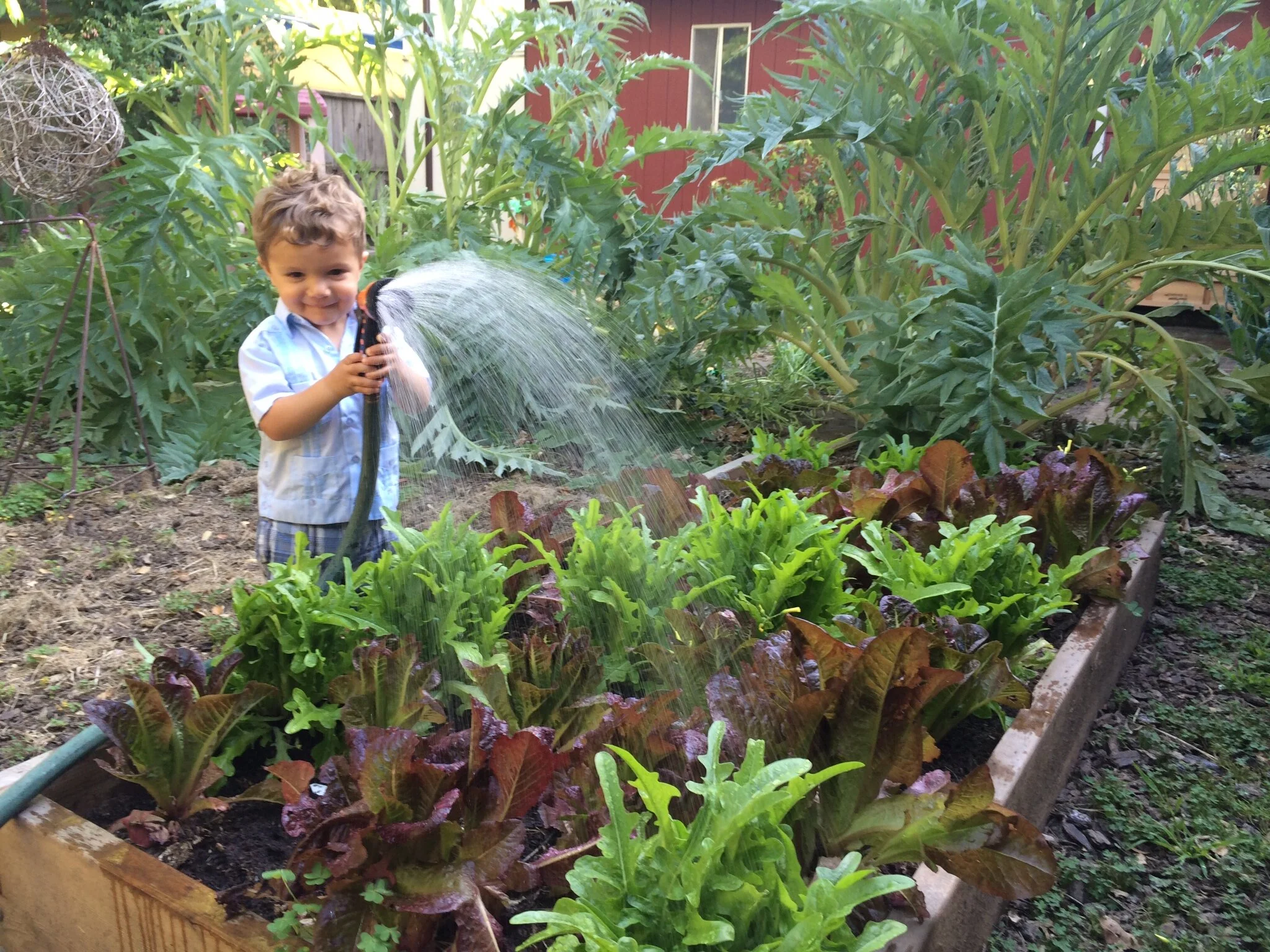 3 Questions to Ask When Planning a Garden