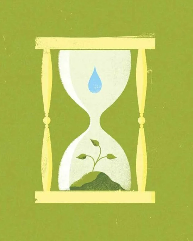 4 Ways to Sow Seeds of Change in Your Community