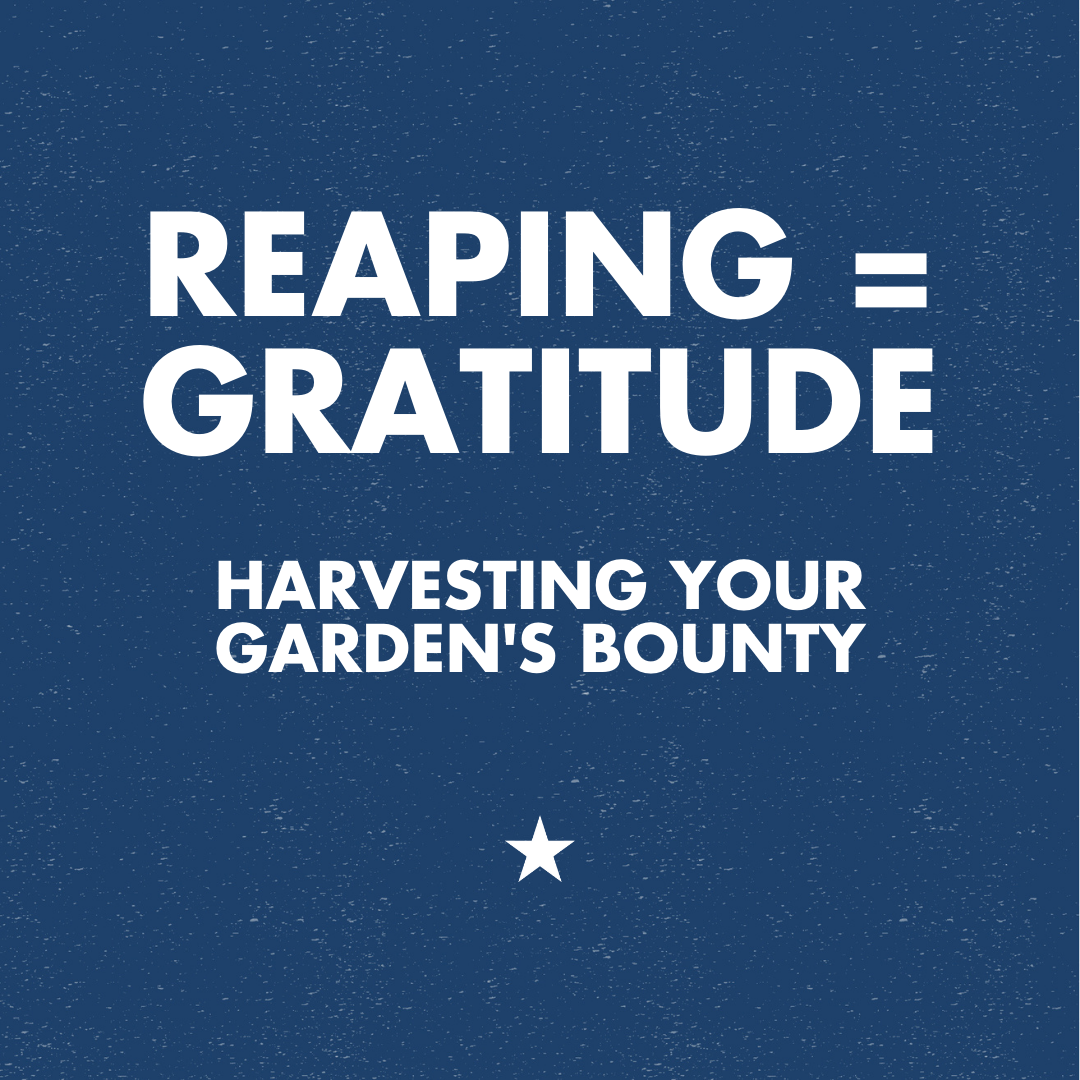 Reaping = Gratitude: Harvesting Your Garden's Bounty