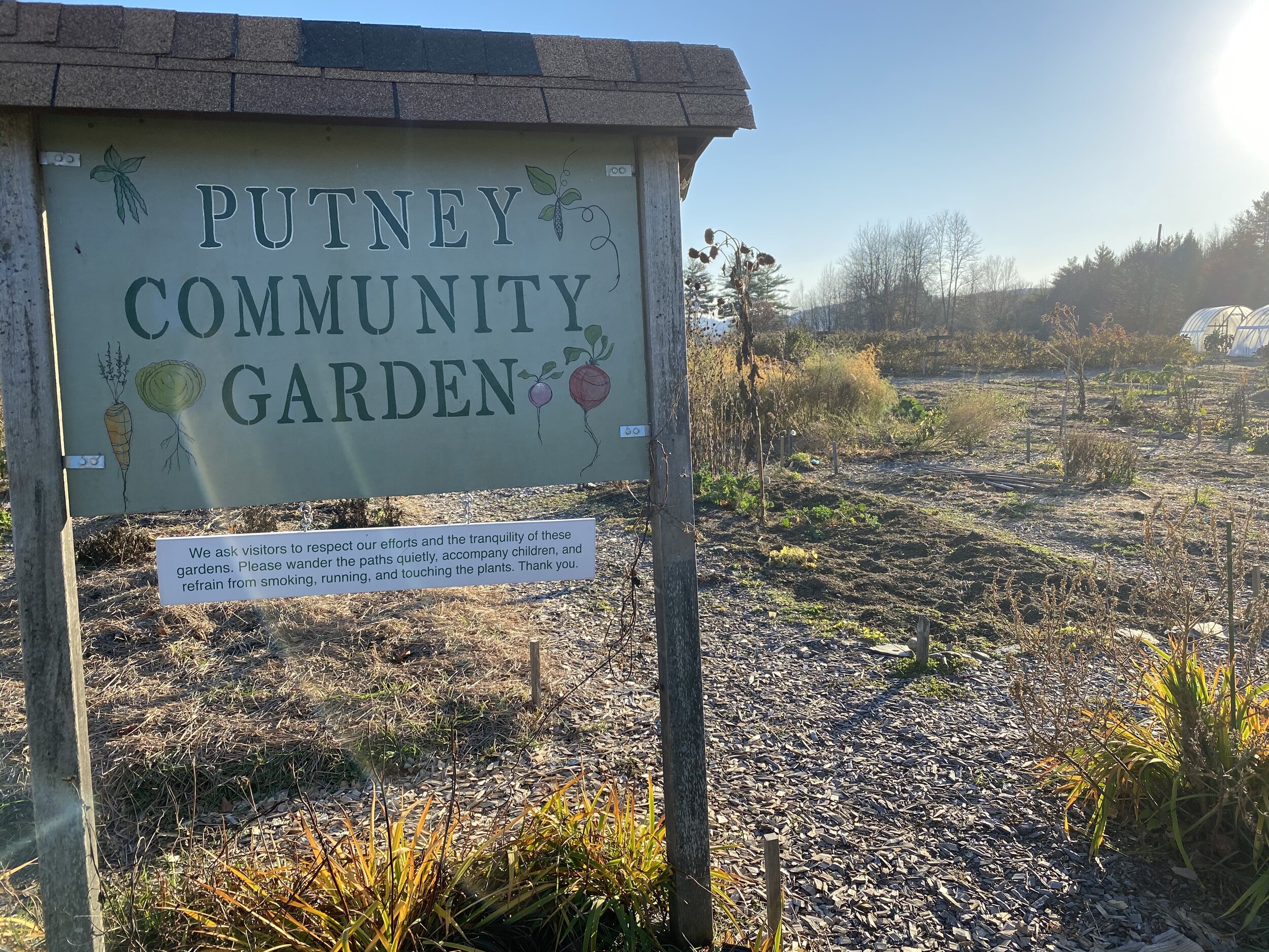 How to Plan a Community Garden