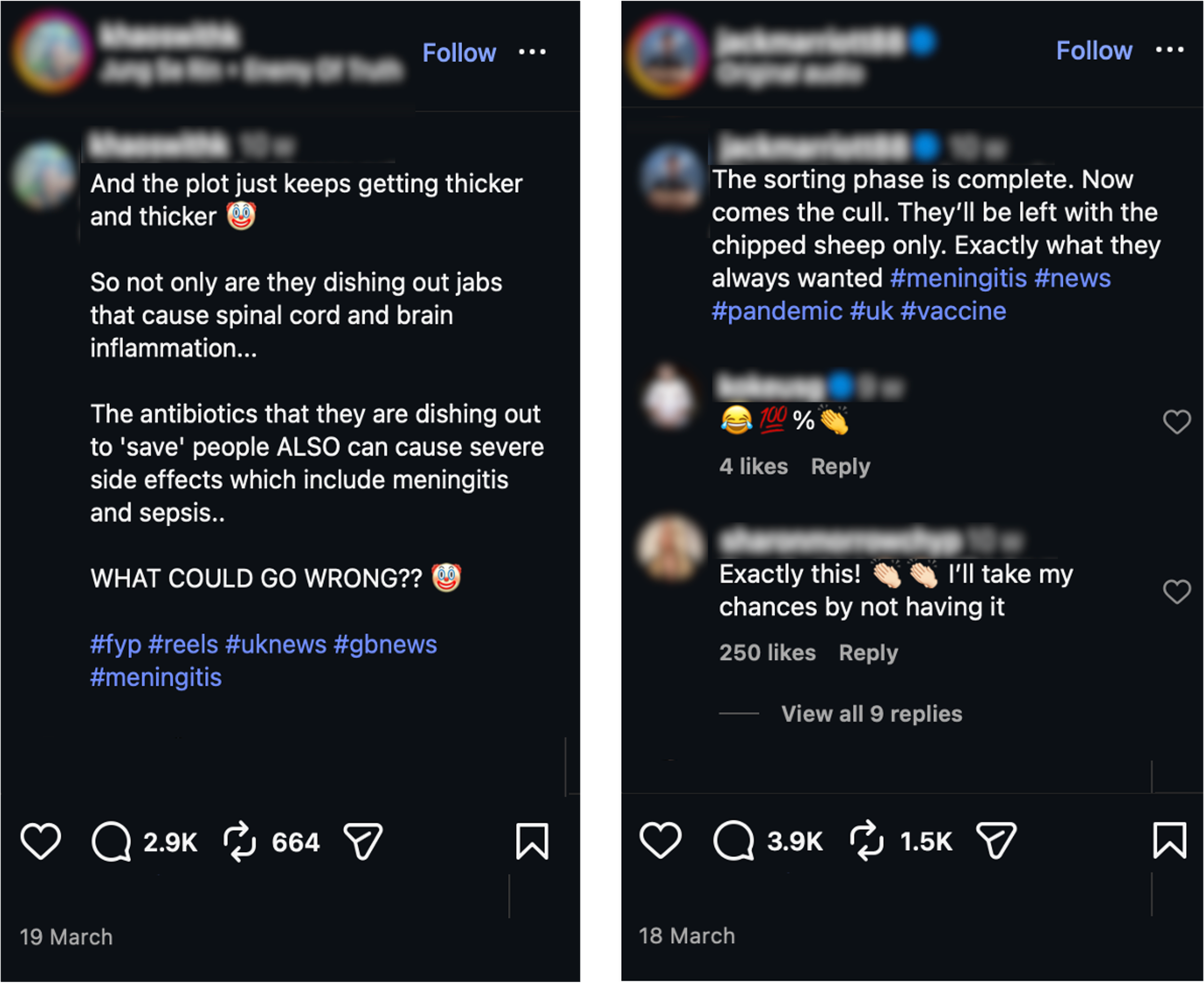 Examples of Meningitis Misinformation from social media