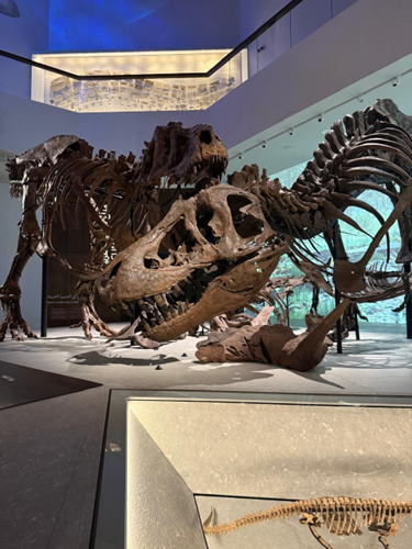 Webinar: 13.8 Billion Years to Explore at the Natural History Museum Abu Dhabi