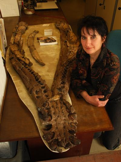 Webinar: Mauled, Injured and Sick: Sore Tales of Giant Pliosaurs