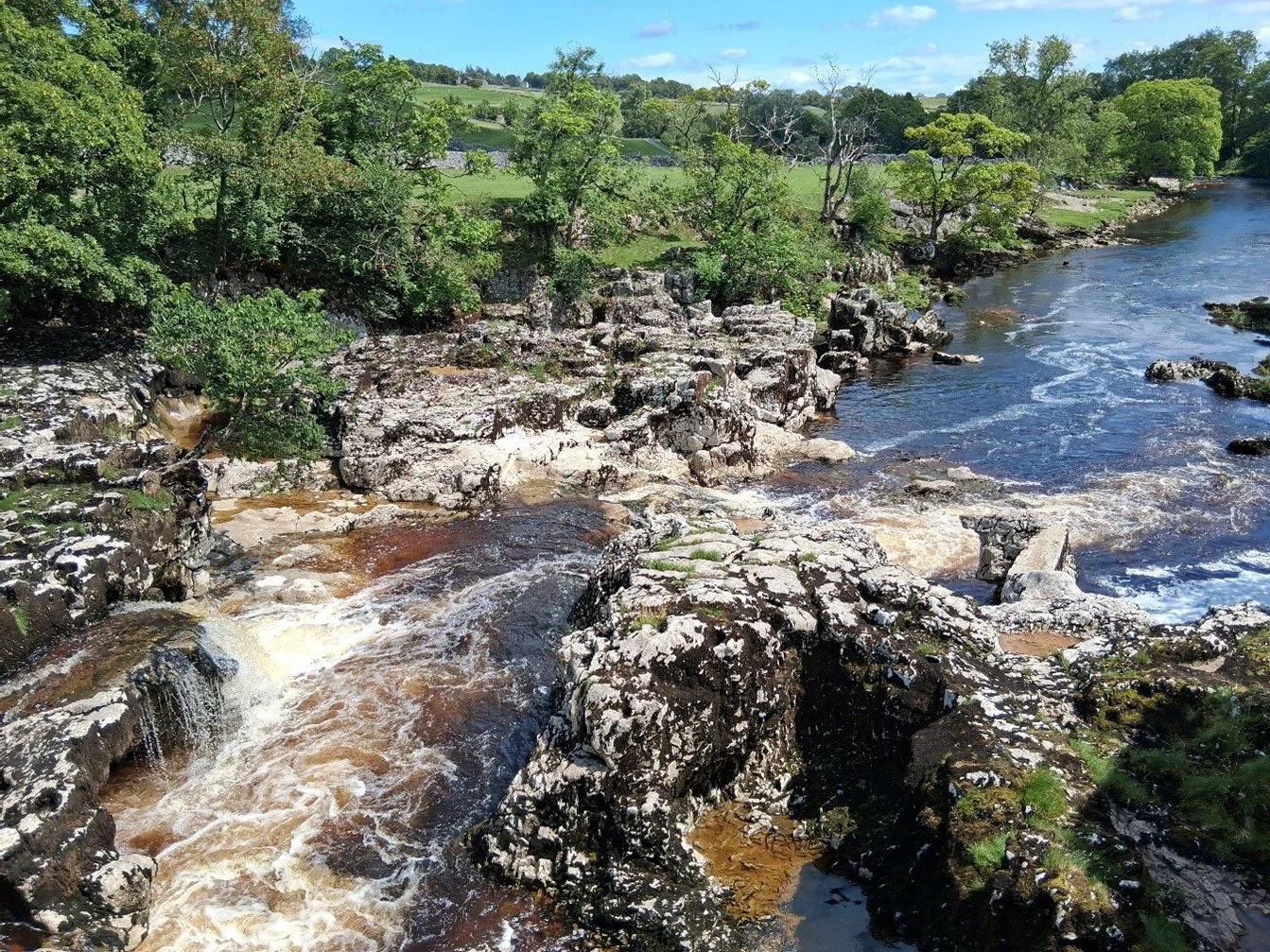 Linton Falls, with section including Gordale Limestone, Hawes Limestone and Bowland Shale Formation