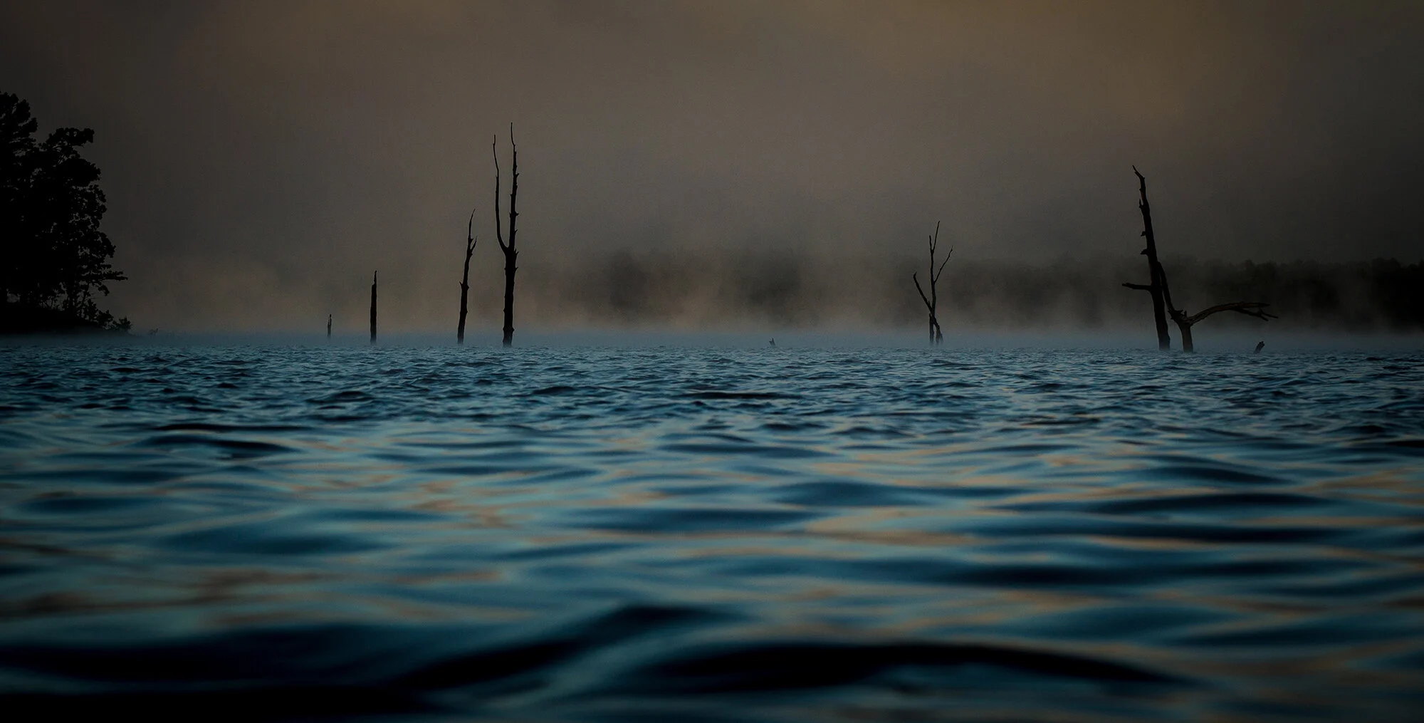 Foggy Morning in Arkansas.jpg