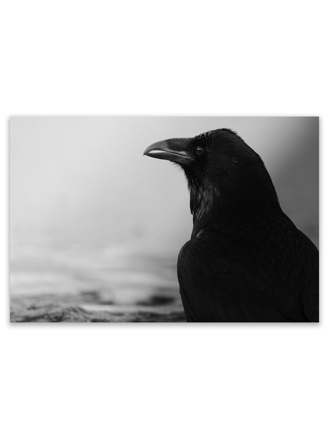 Untitled-1.jpg