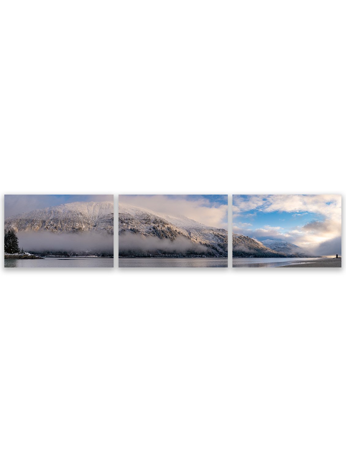 Pano All.jpg