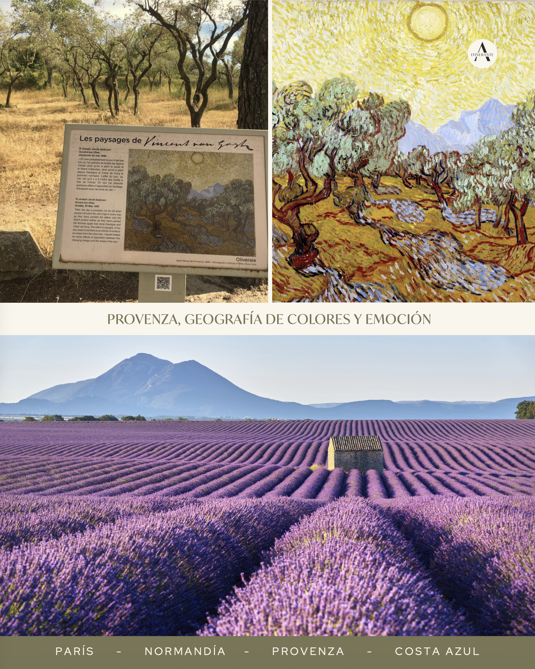 Captura de pantalla 2025-11-21 a la(s) 7.25.00 p.m..png