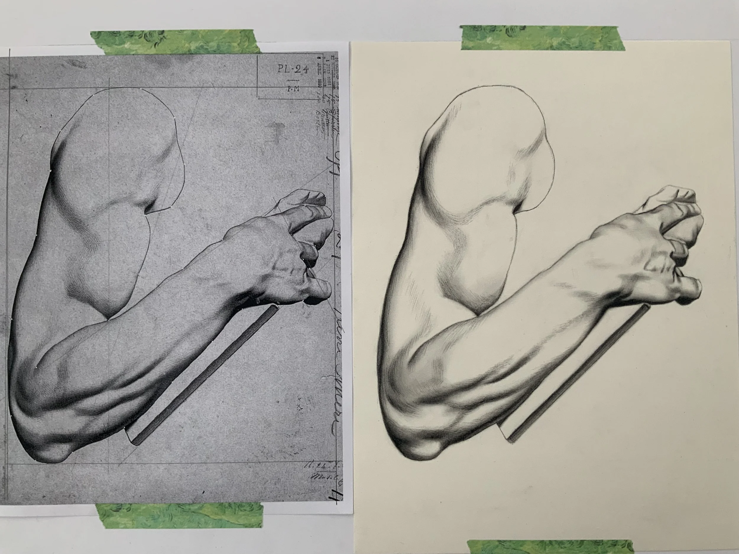 Bargue Drawing Course by Jen Lee