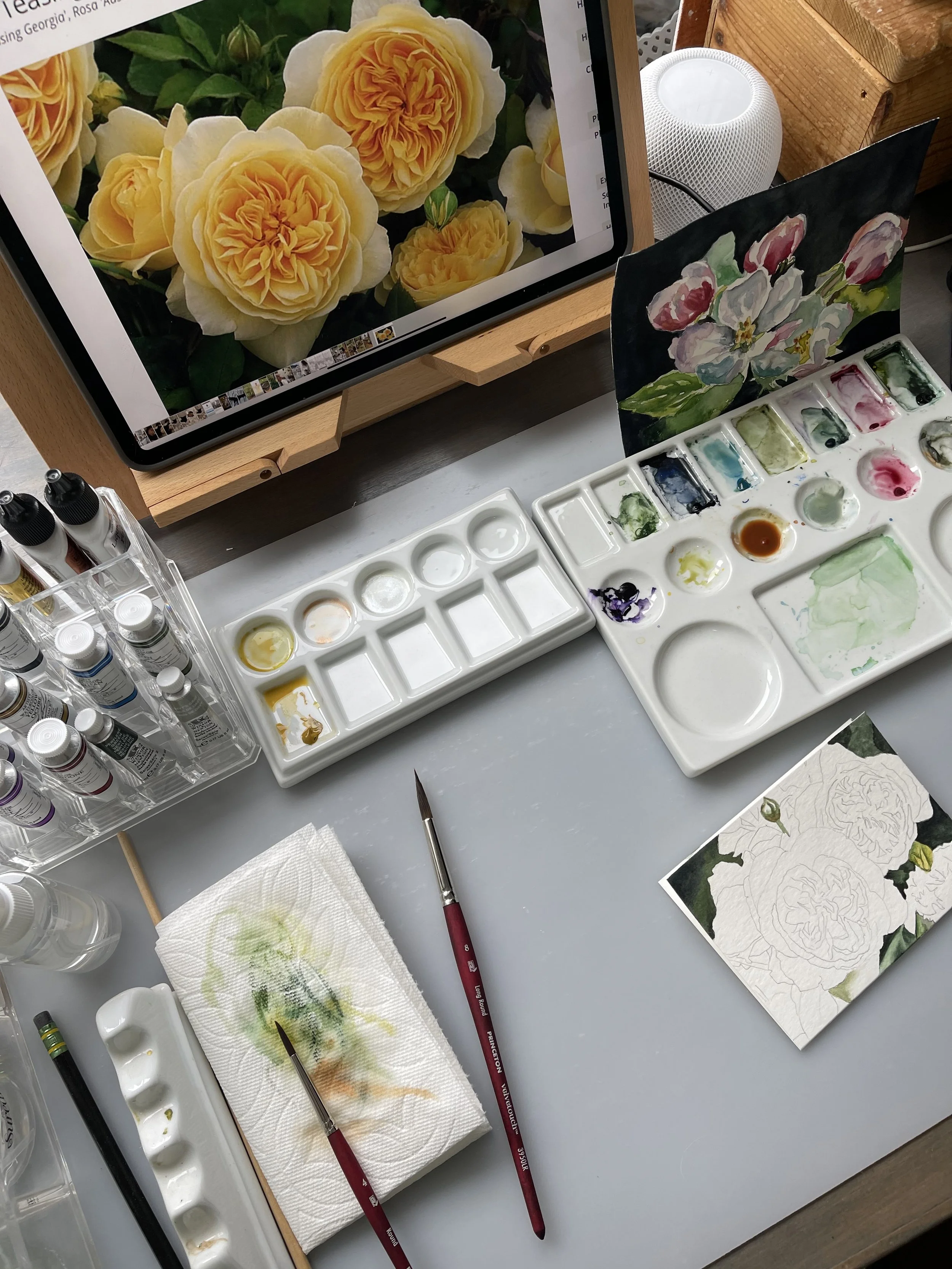 IMG_4960.jpeg (Copy)