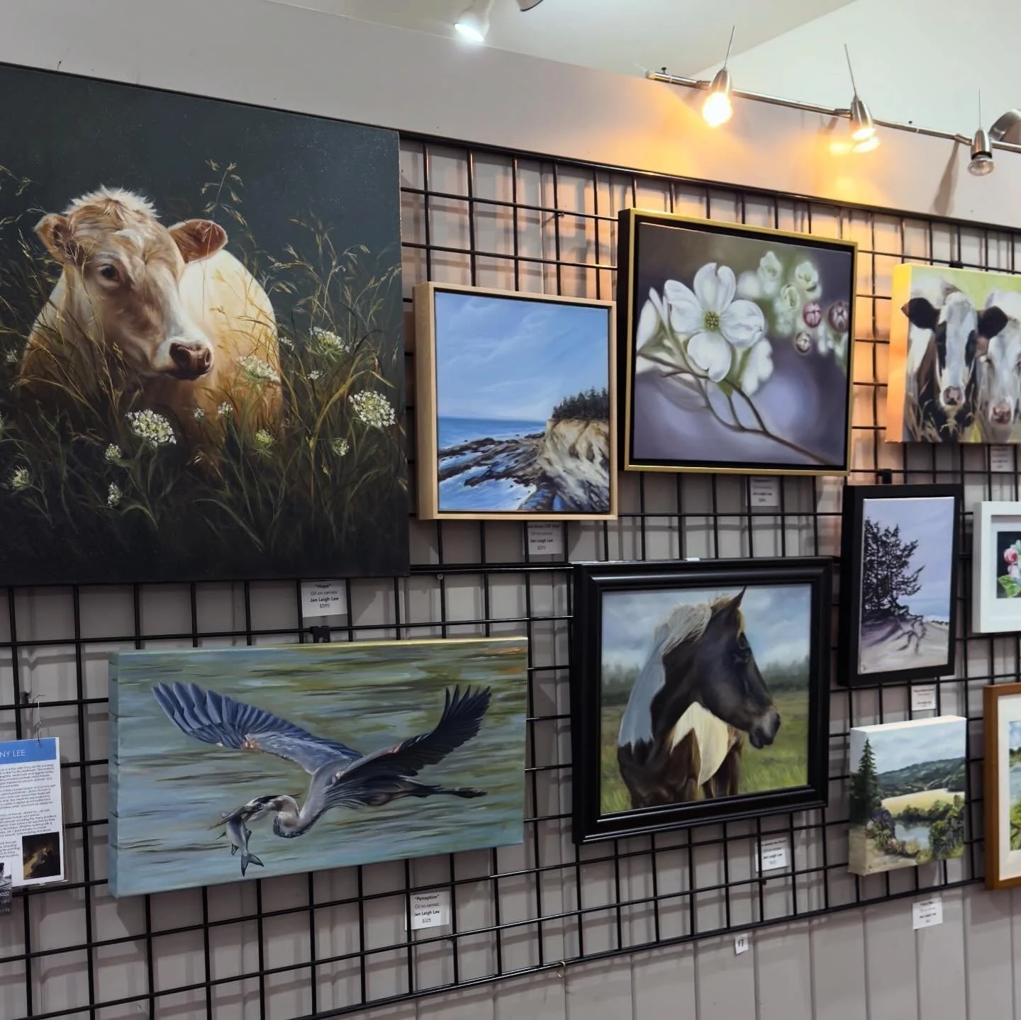 DB9326AC-4414-4890-B960-8AB158942FAC.jpg (Copy)