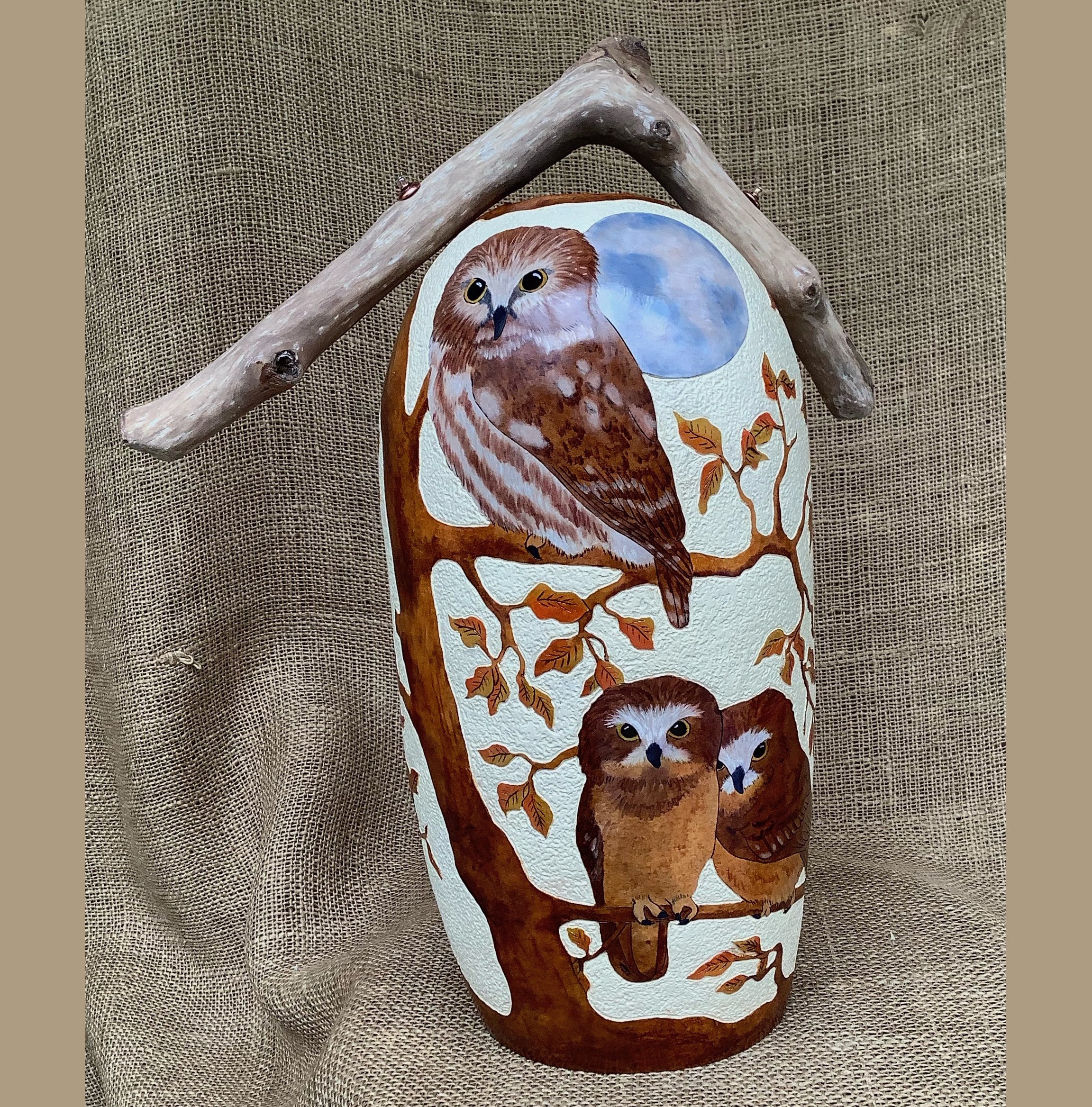 Saw-Whet owl and owlettes.jpeg
