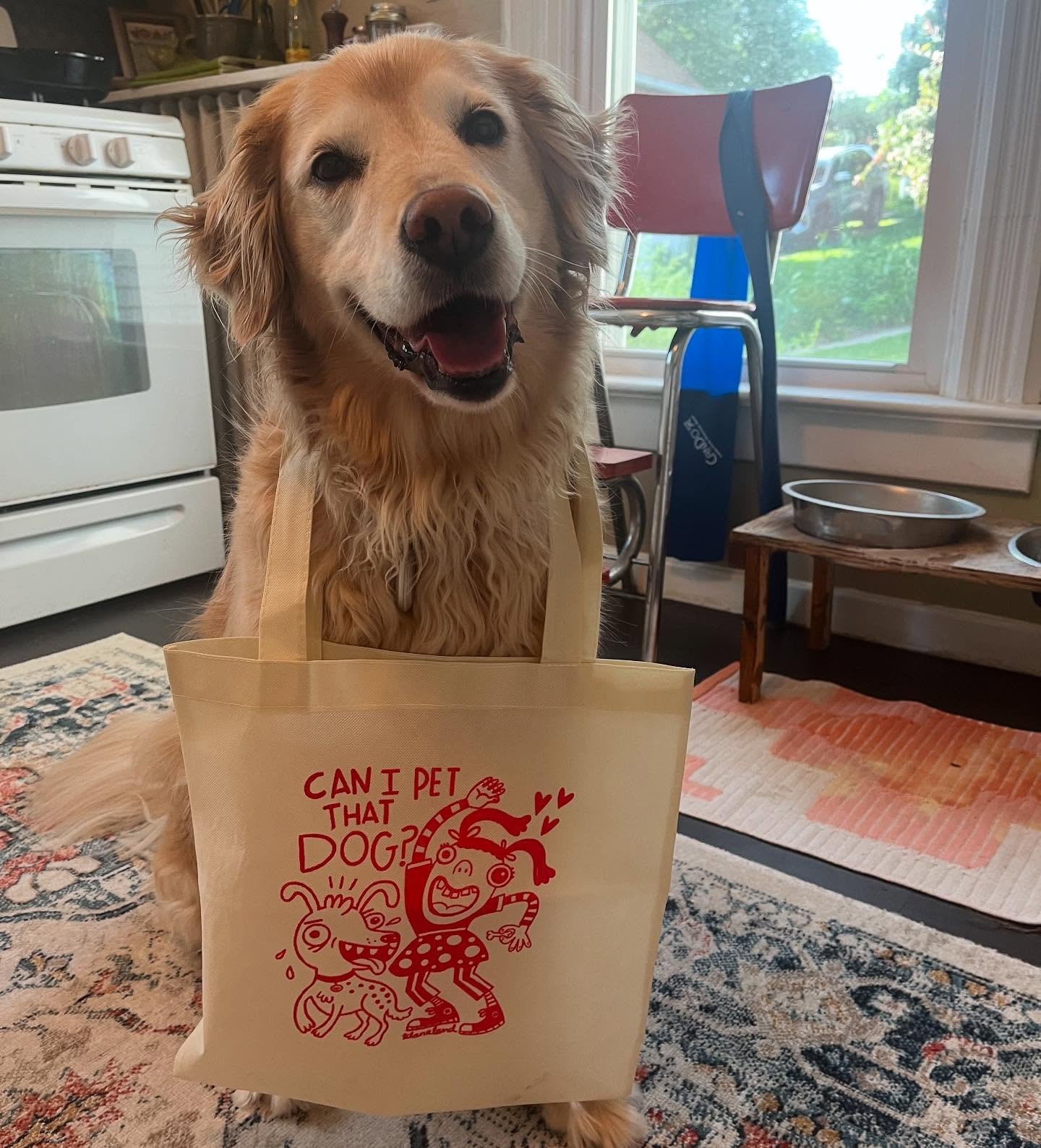 When your favorite college professor @ulanaland sends you an adorable tote bag with her art on it and you just happen to be dog sitting for a friend. #kizmit