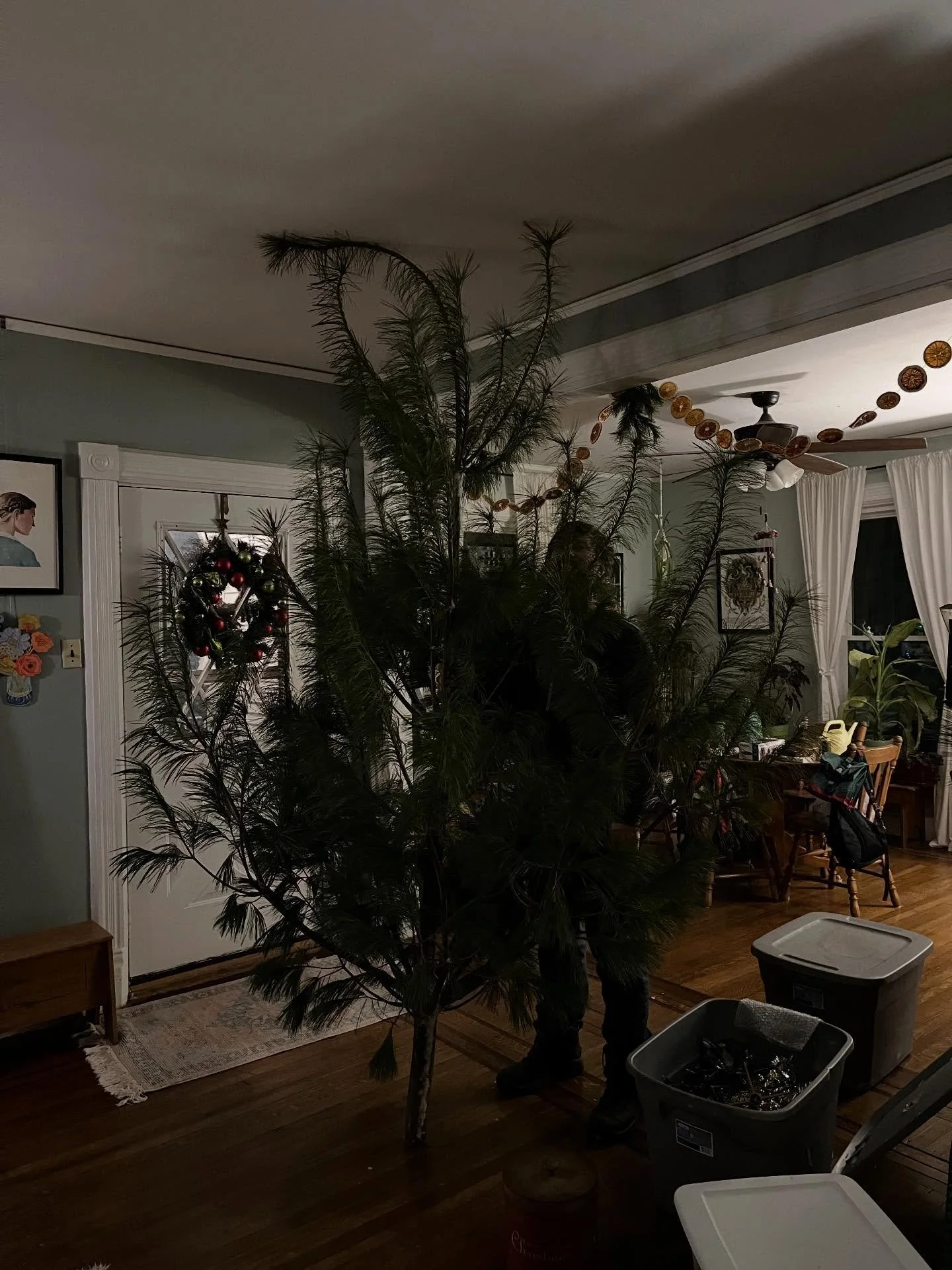 Lot of sap&hellip;little full.