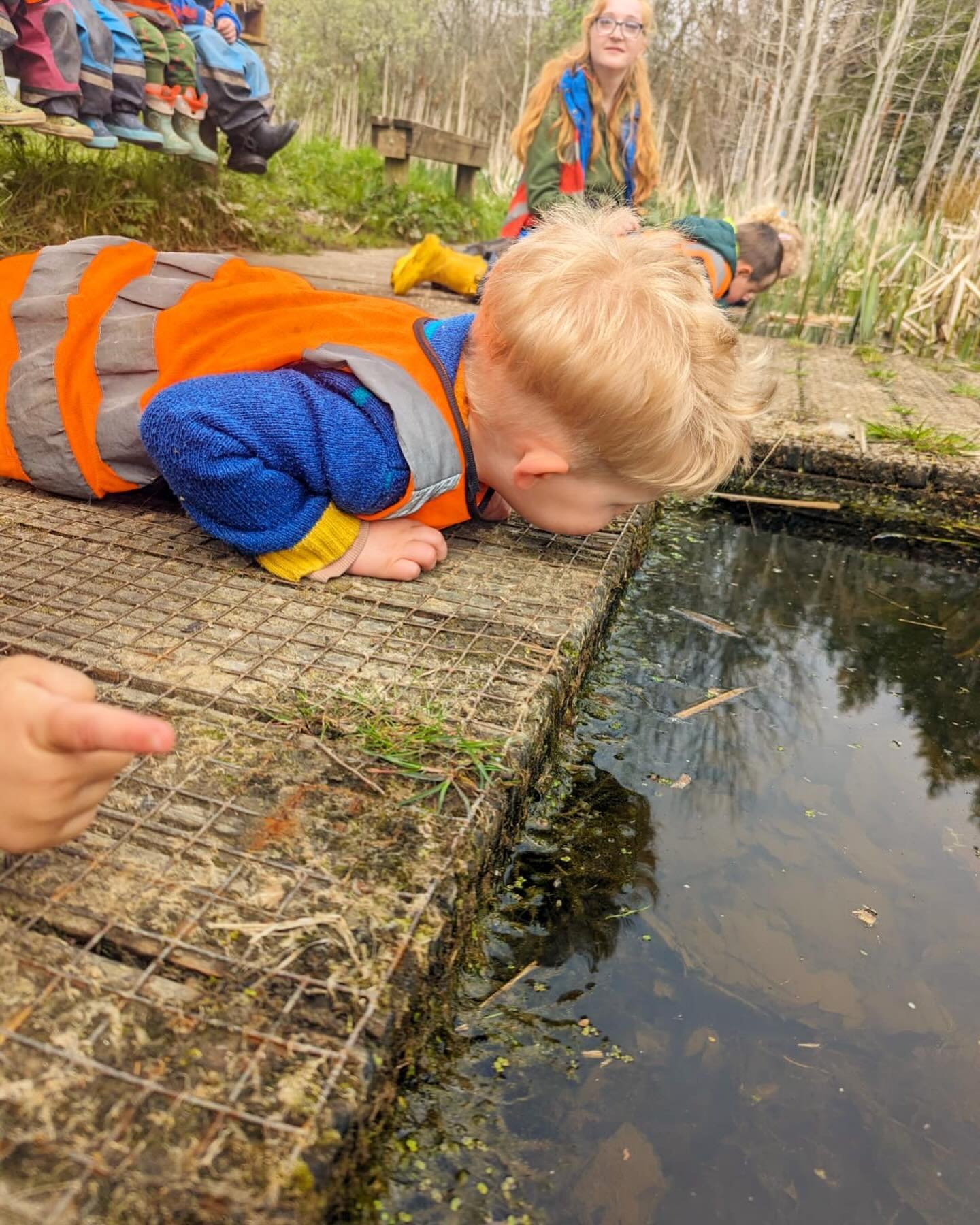 We&rsquo;ve been to the pond! It offers so many exciting things to look at. What do you think we saw? 🔎

#pondlife #pond #forestschool #eyfsactivities #plesseywoods #earlyyears #learningoutdoors