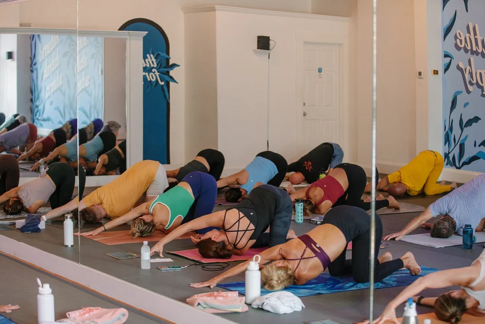 Yoga Classes Lexington KY Lexington Yoga Classes Creative Yoga