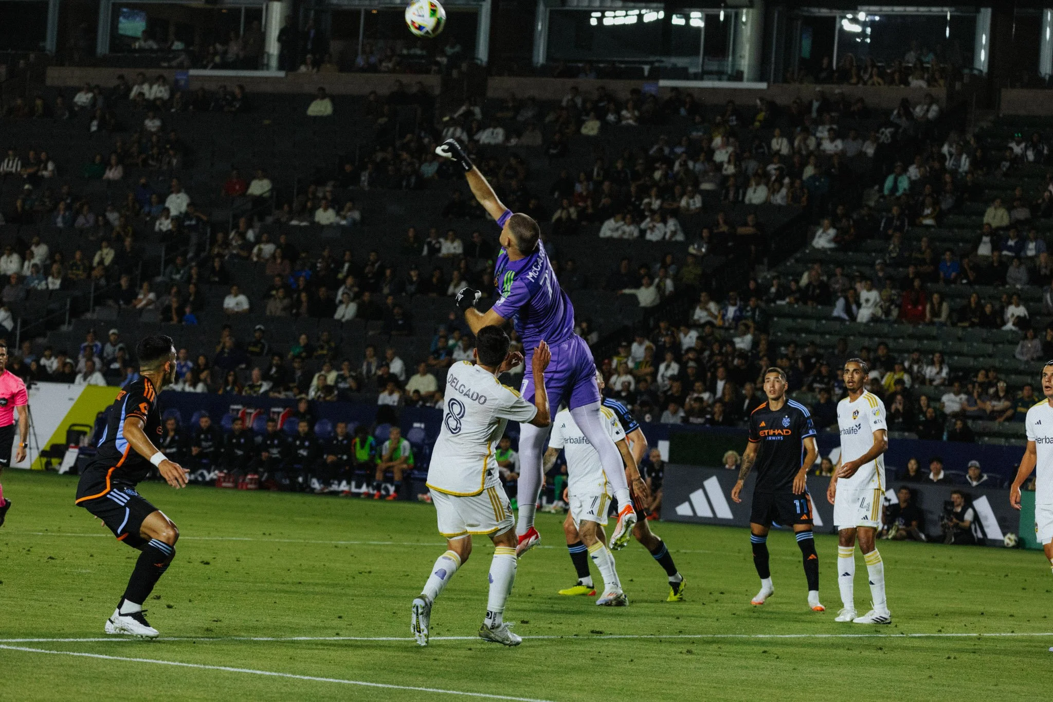 DS-LAGalaxy-32.jpg