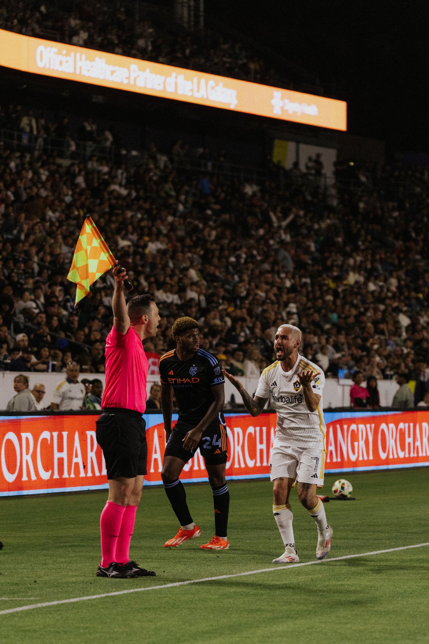 DS-LAGalaxy-21.jpg