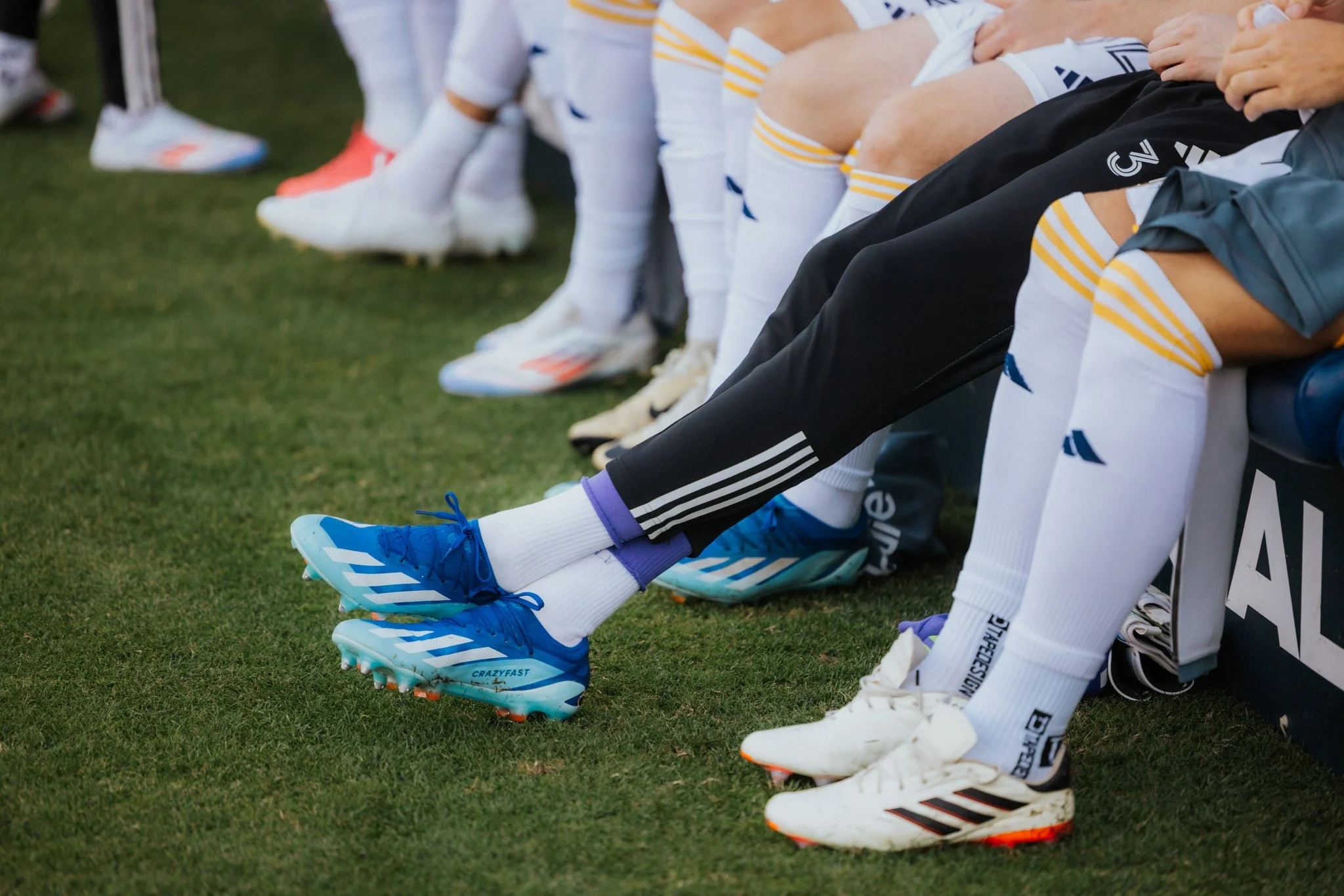 DS-LAGalaxy-03.jpg