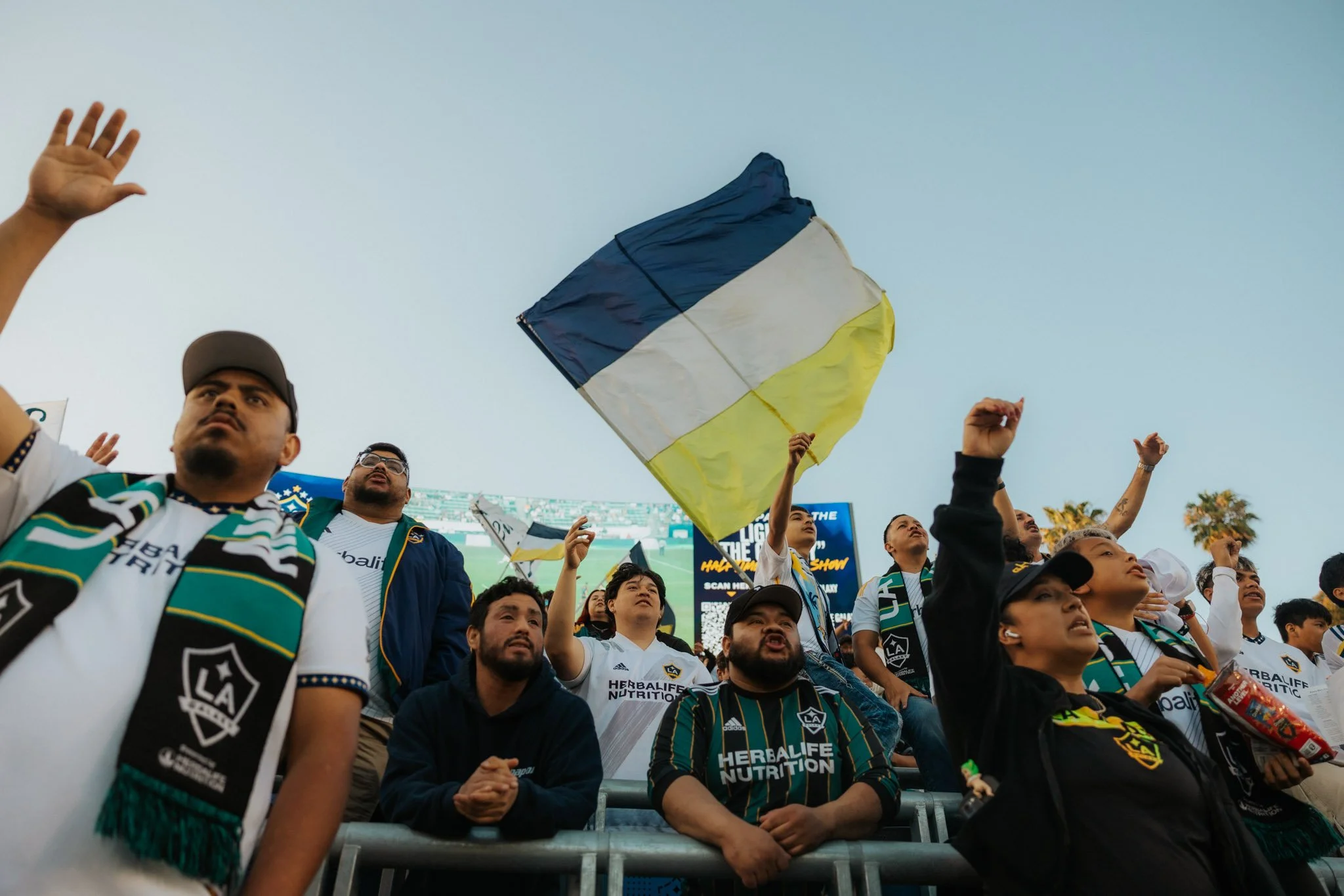 DS-LAGalaxy-06.jpg