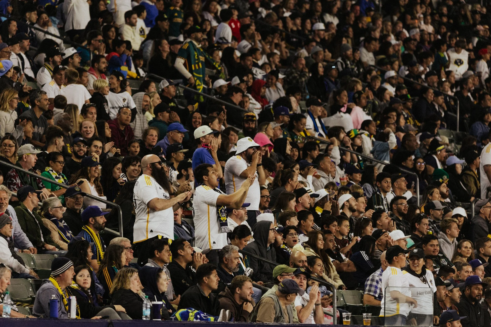 DS-LAGalaxy-26.jpg